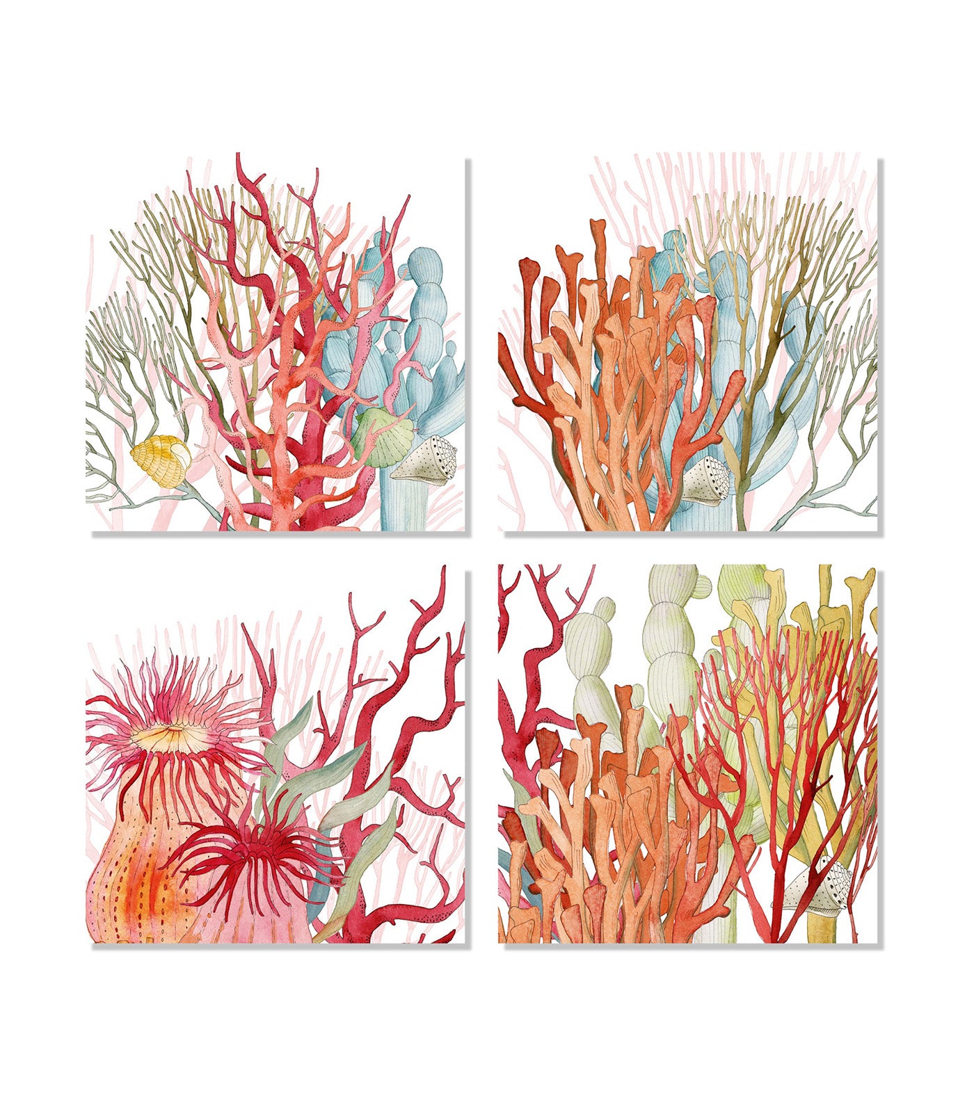 Corals Premium Linen Collection