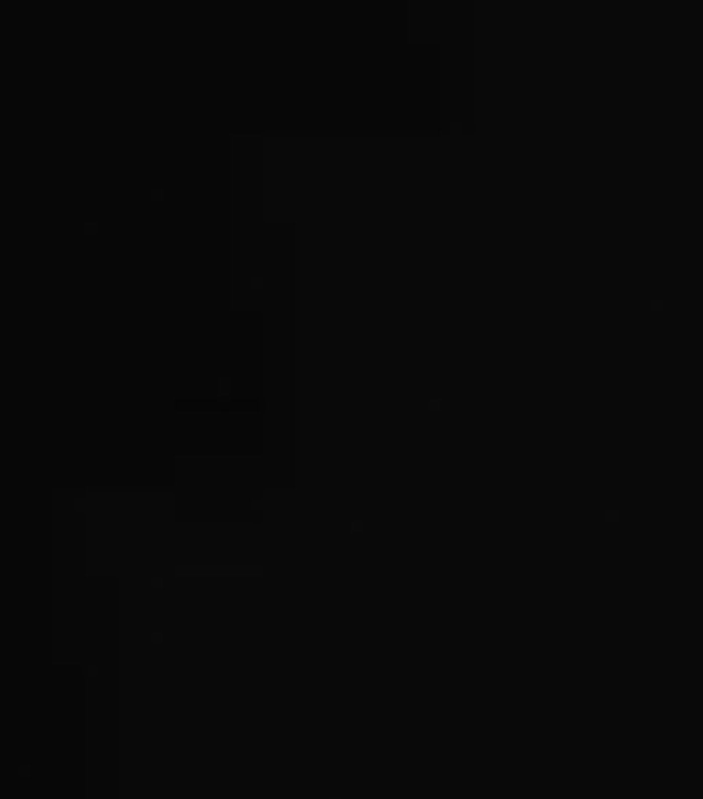 Classic Crew-Neck T-Shirt