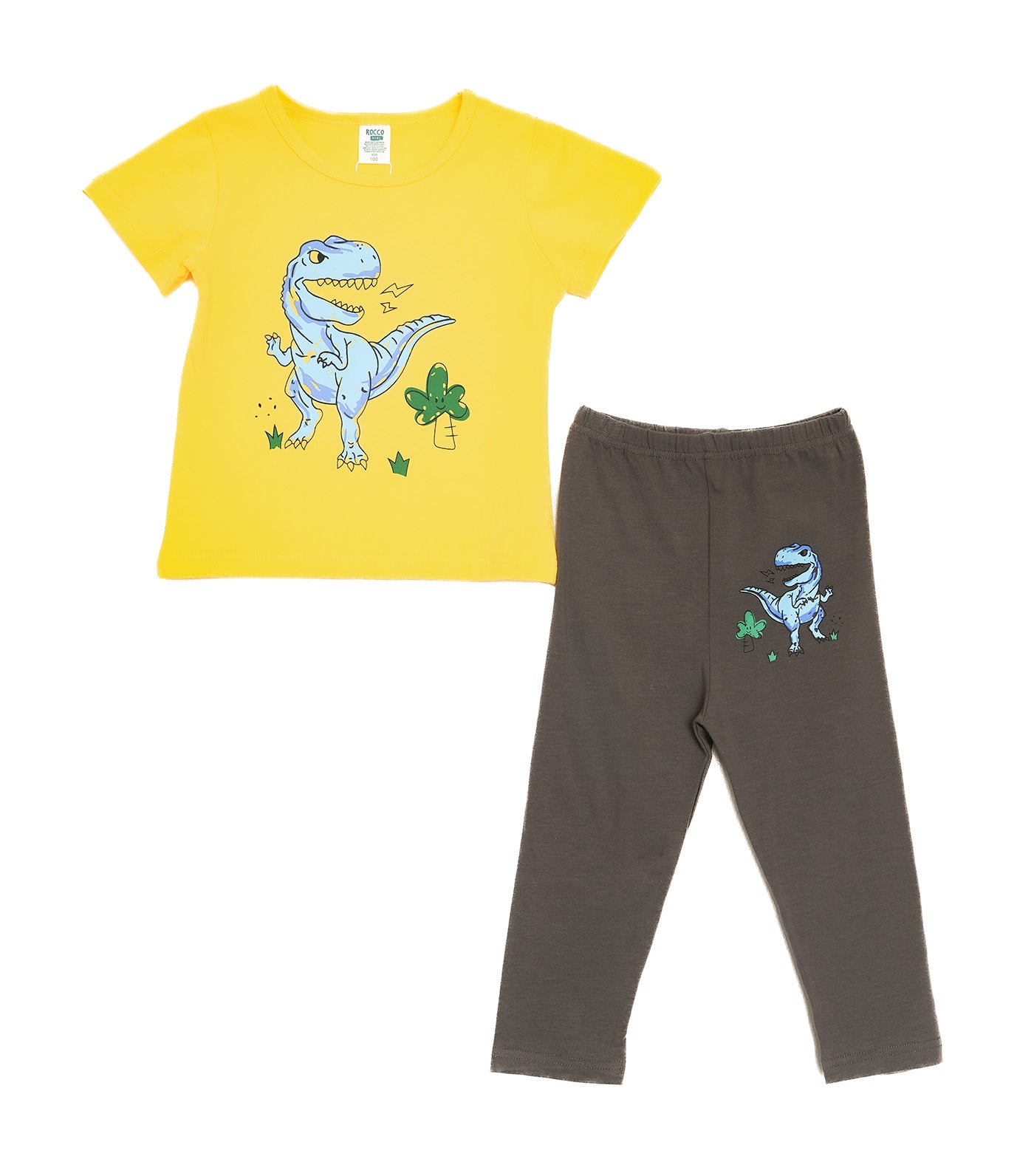Boys Lounge Wear Collection Short Sleeve Top and Bottom T-rex Print
