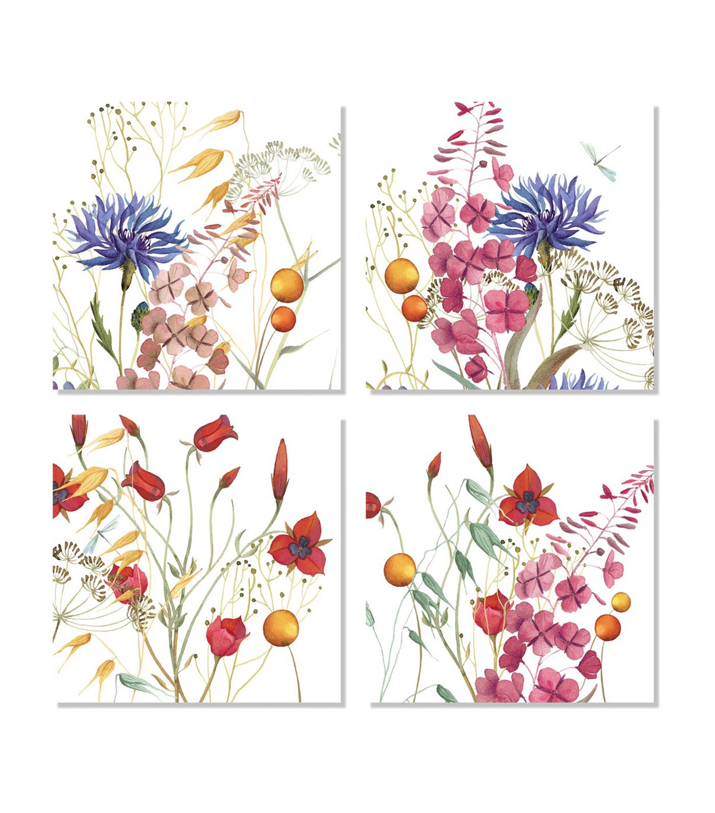 Fiordaliso Collection