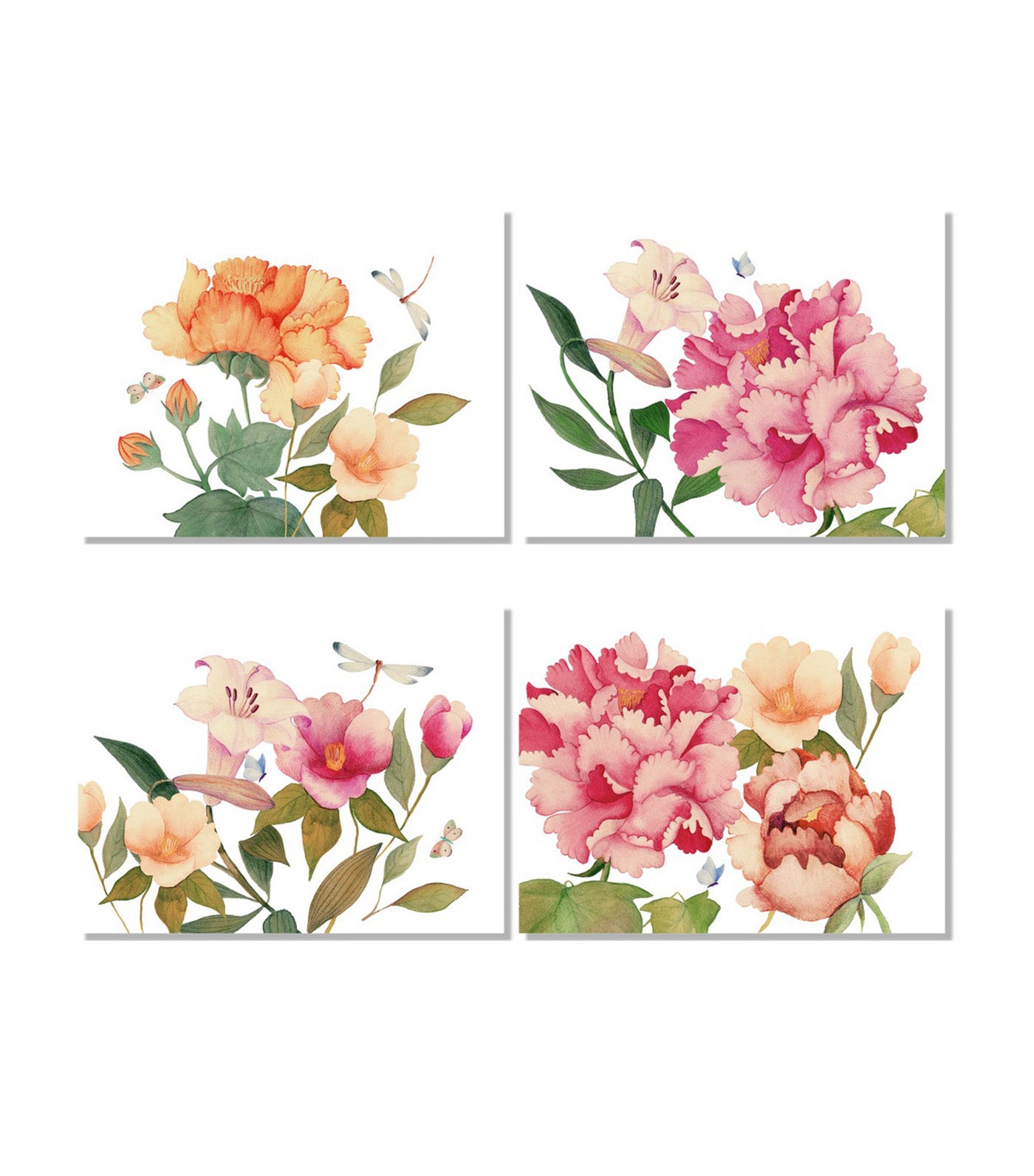 Peony Collection
