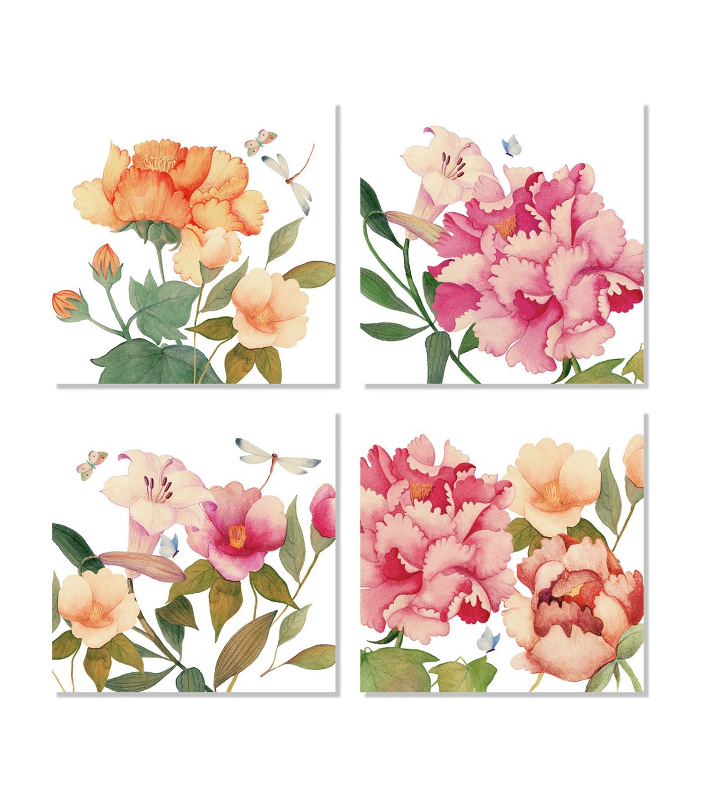 Peony Collection