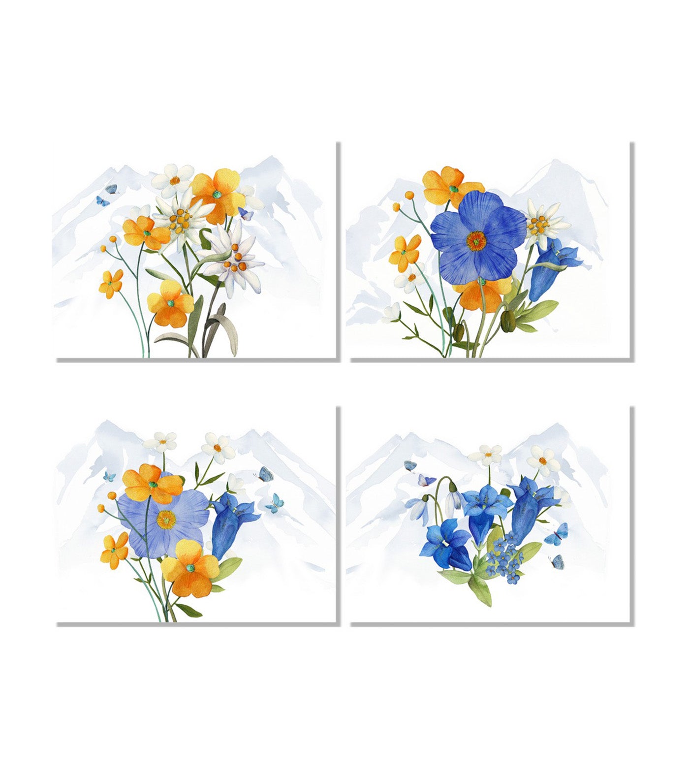 Alpi Flora Collection