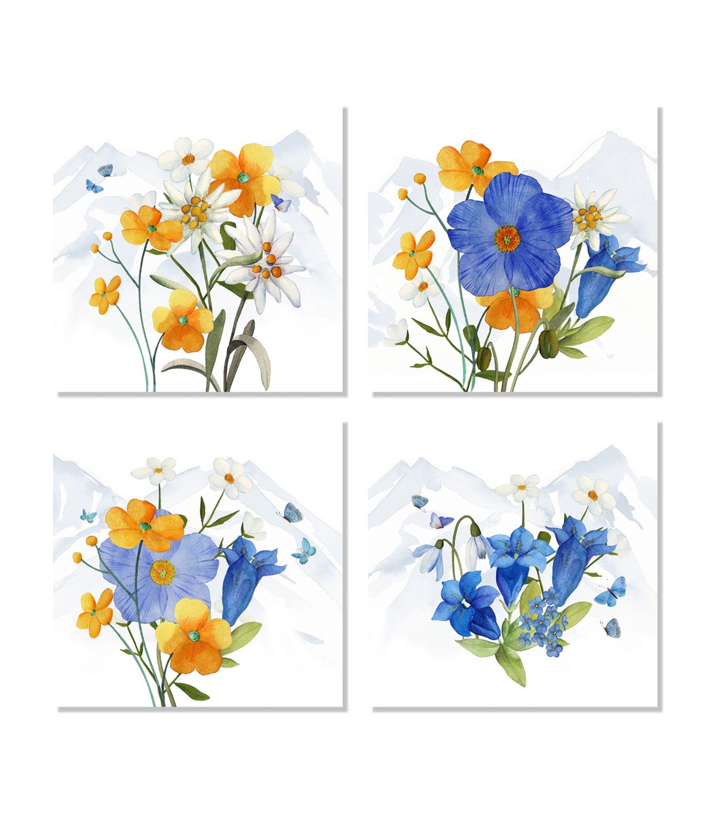 Alpi Flora Collection