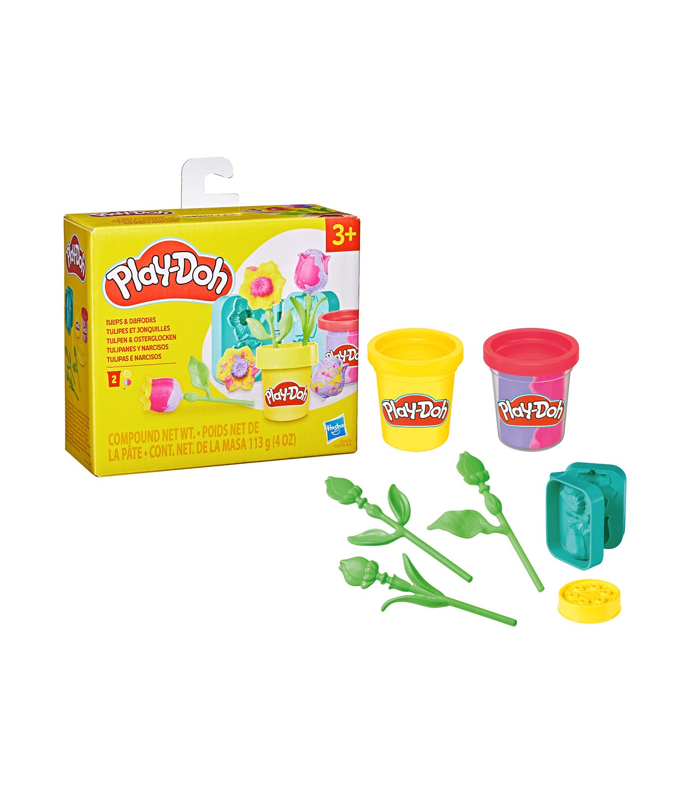 Tulips and Daffodils