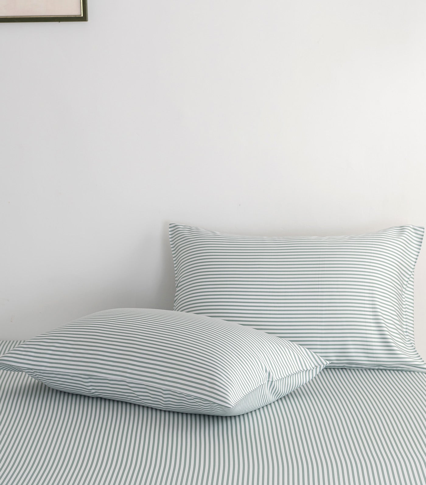 Bamboo Luxury Pillowcase (2 Piece Set)