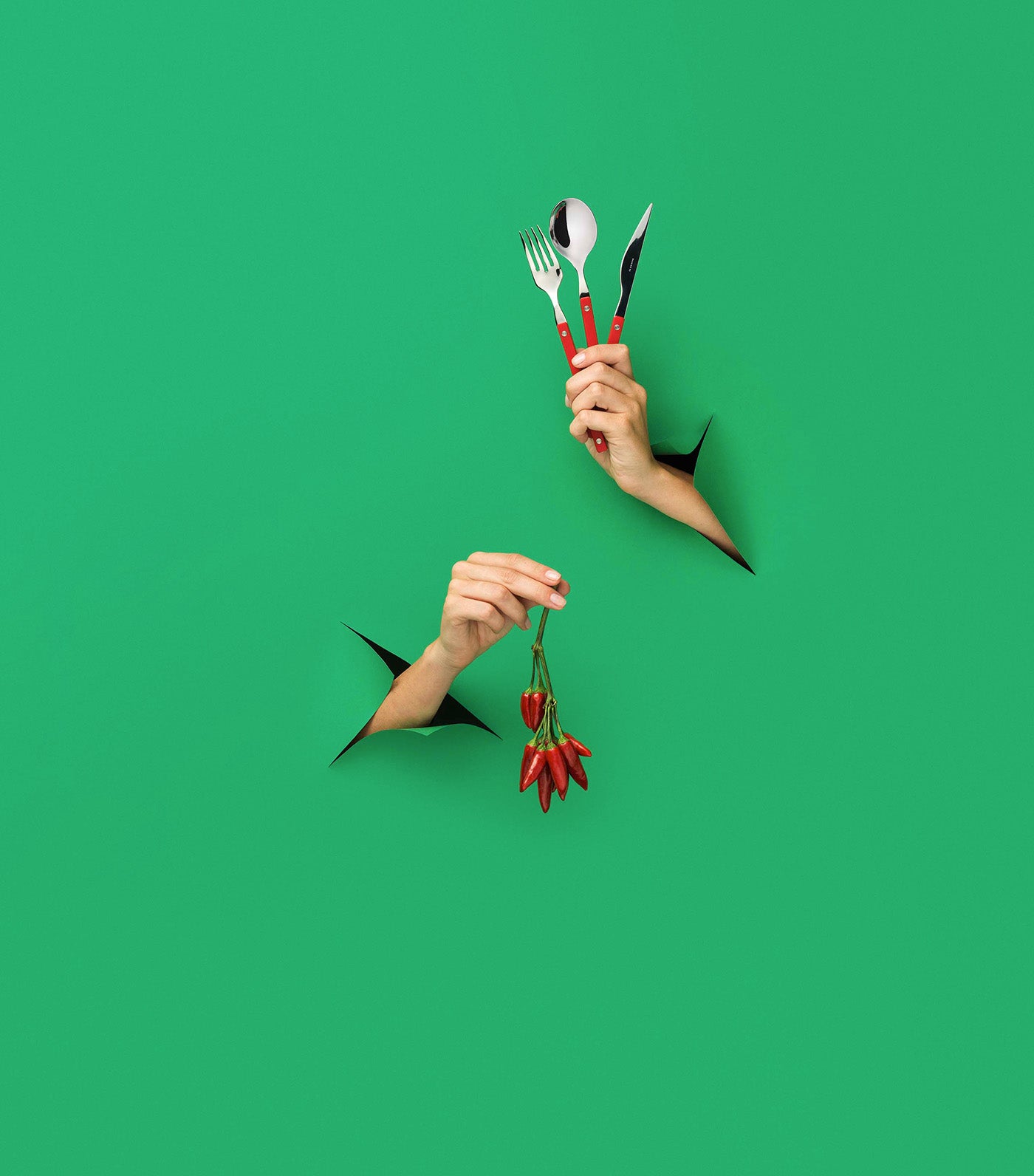 Allegra 8-Piece Flatware Set in Window Box