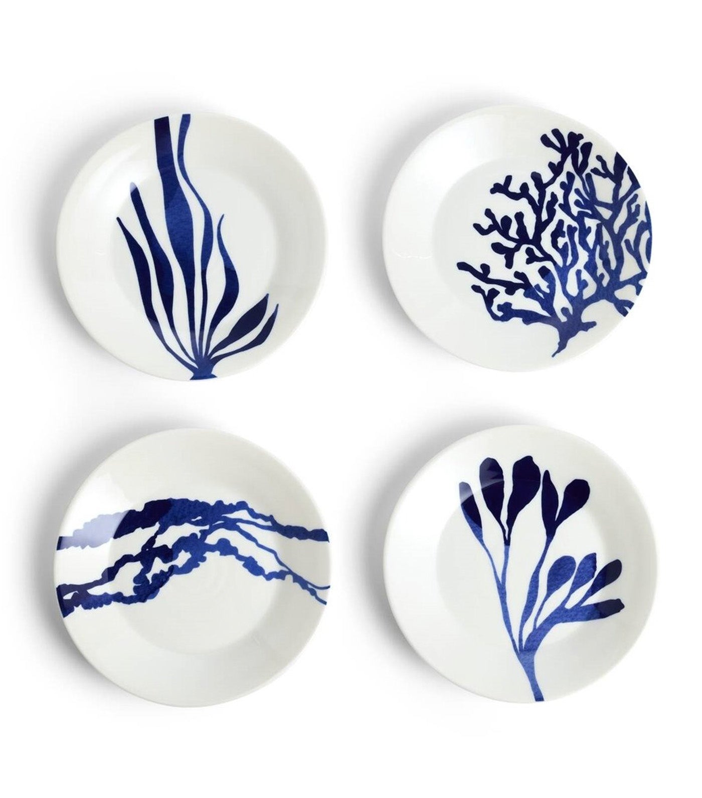 1815 Pacific Collection White and Blue