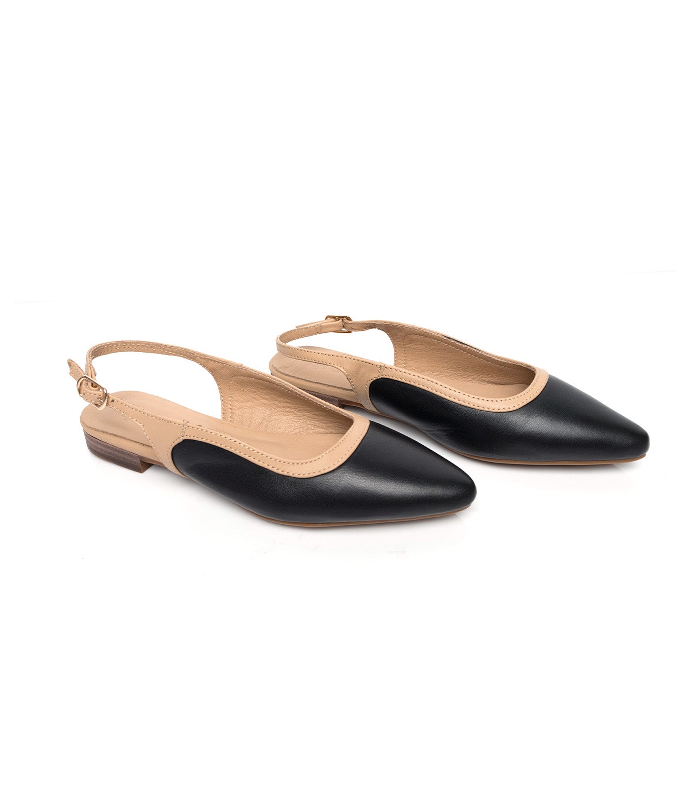Pointed Slingbacks