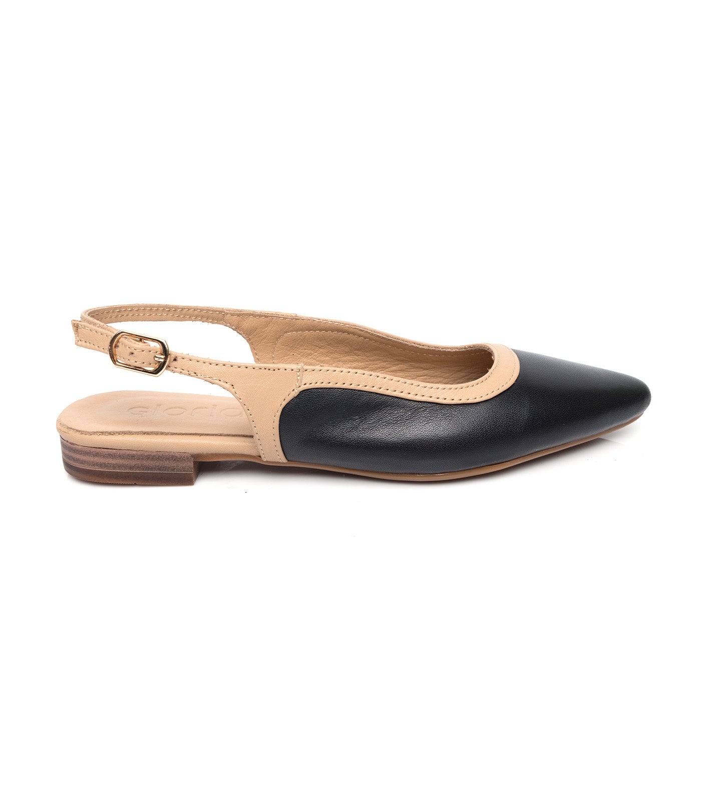 Pointed Slingbacks