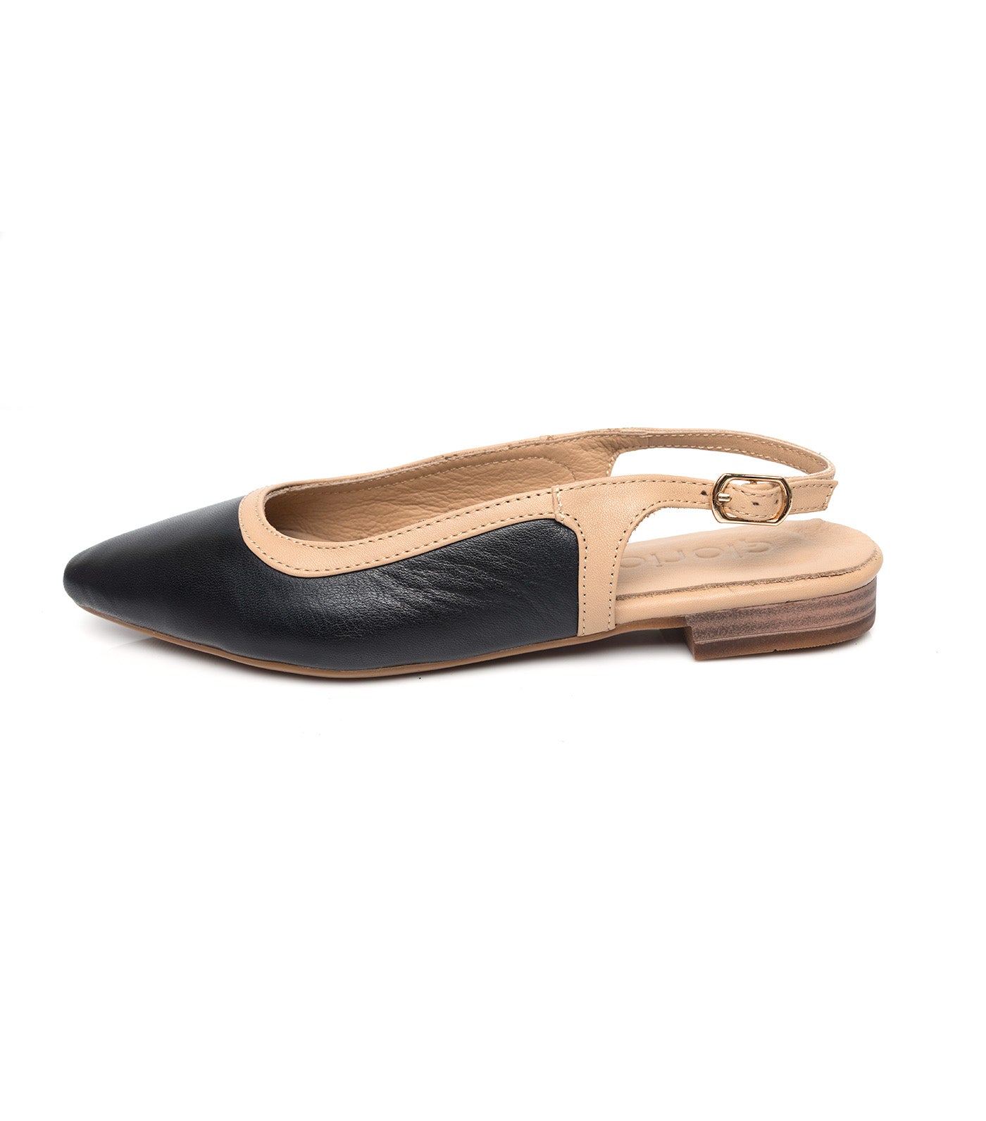 Pointed Slingbacks