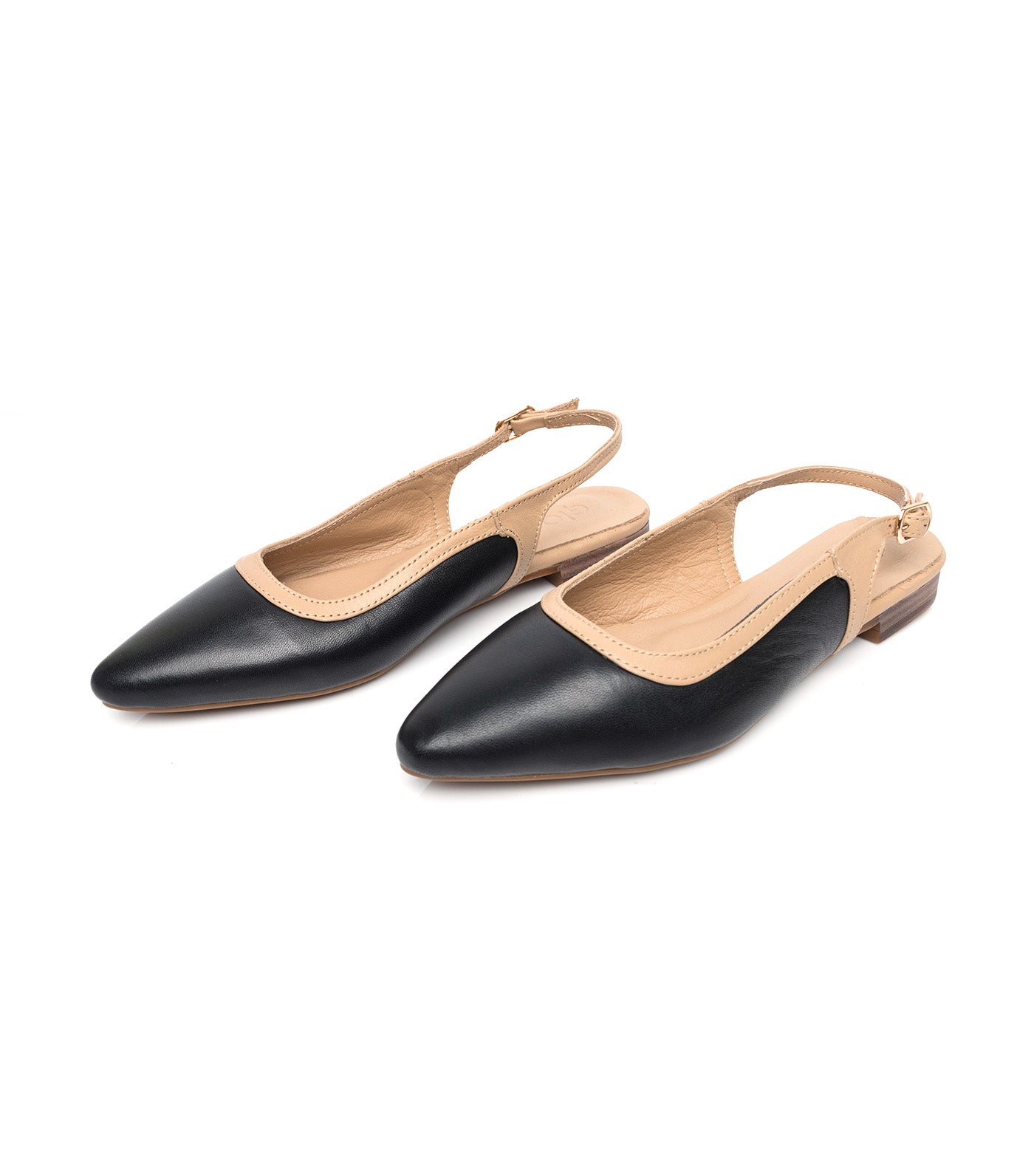 Pointed Slingbacks