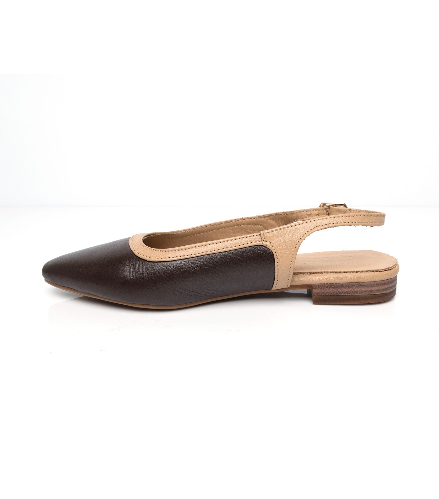 Pointed Slingbacks