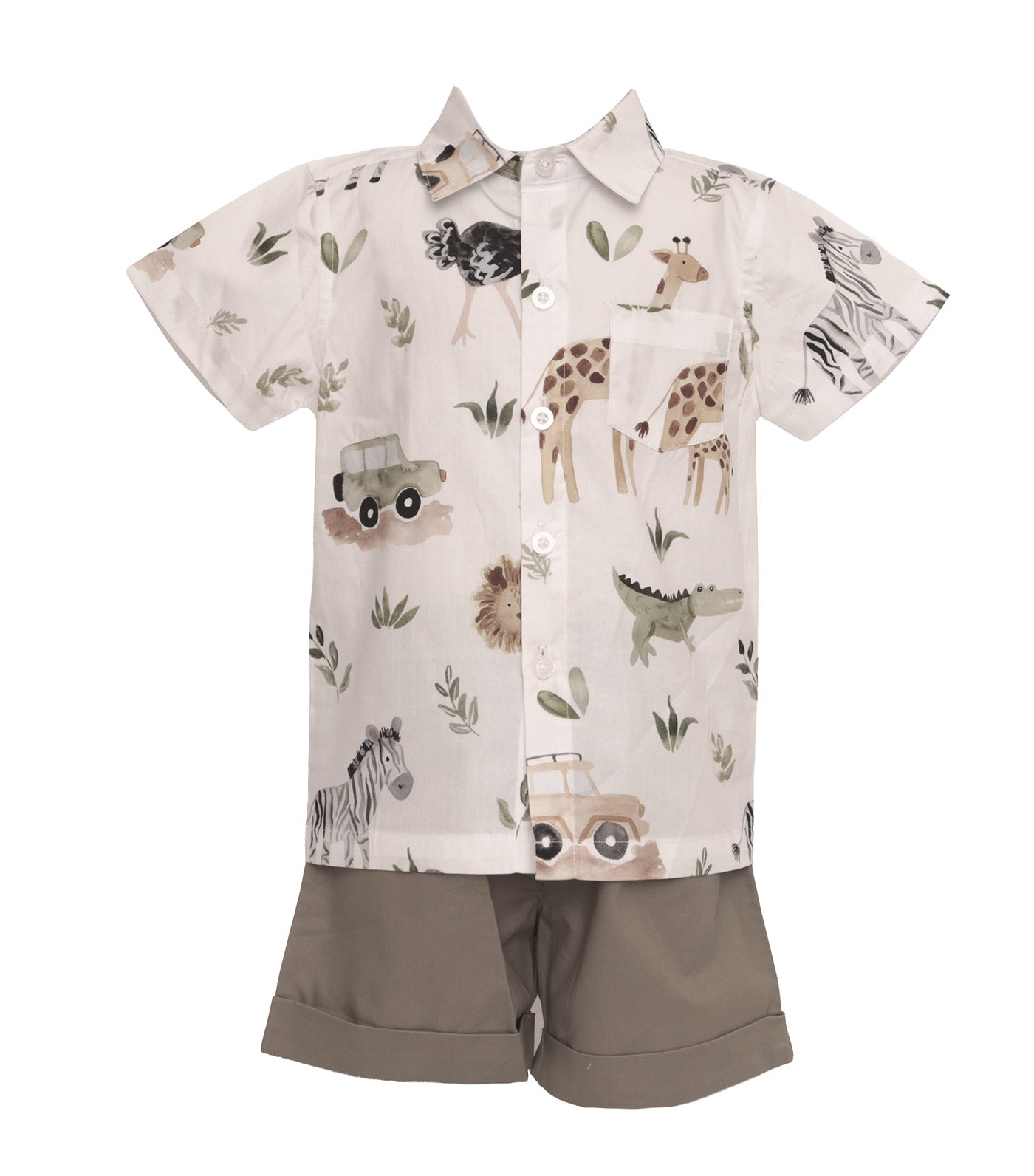 Boys Polo and Plain Shorts Set Zebra