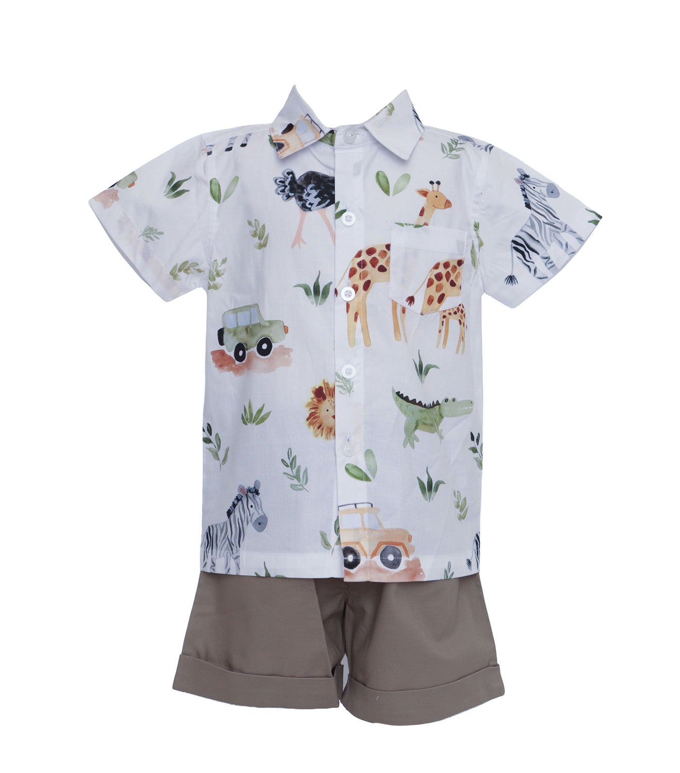 Boys Polo and Plain Shorts Set Zebra