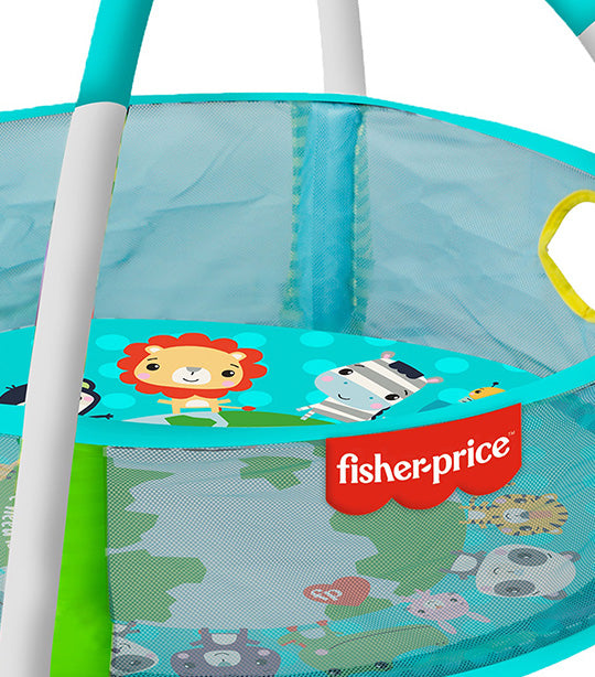 2-in-1 Ball Pit Playset