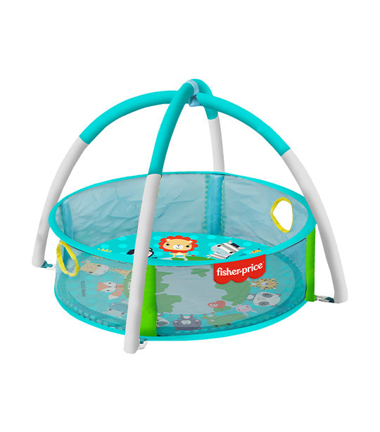 2-in-1 Ball Pit Playset