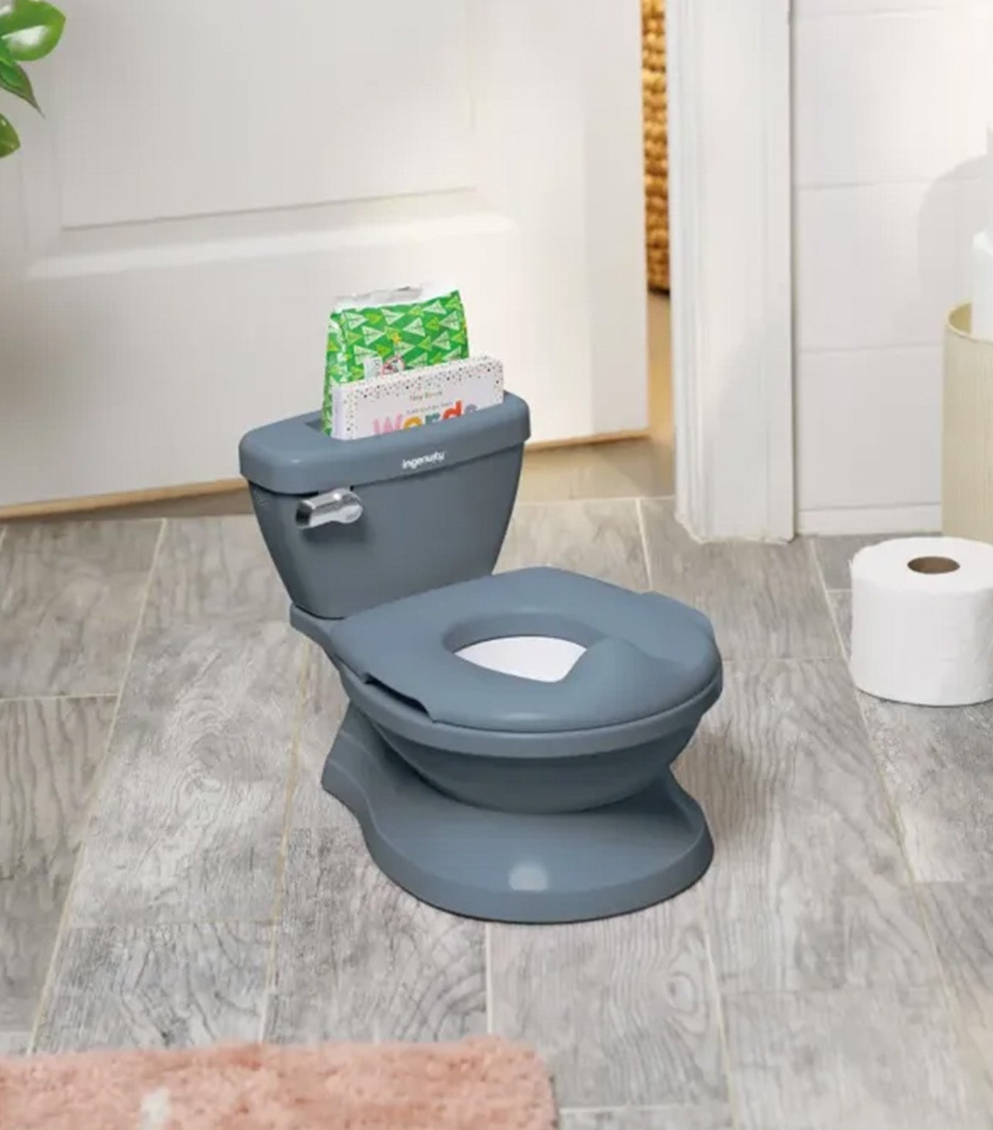My Size Potty Pro