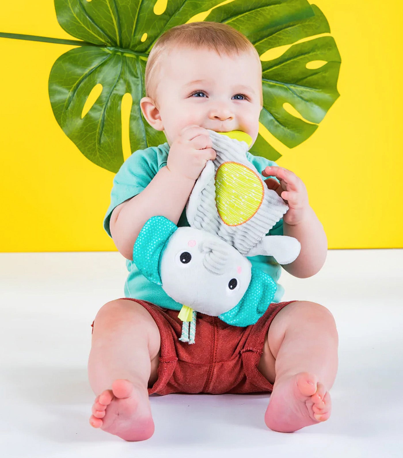 Bright Starts Snuggle & Teethe Plush Teether Toy