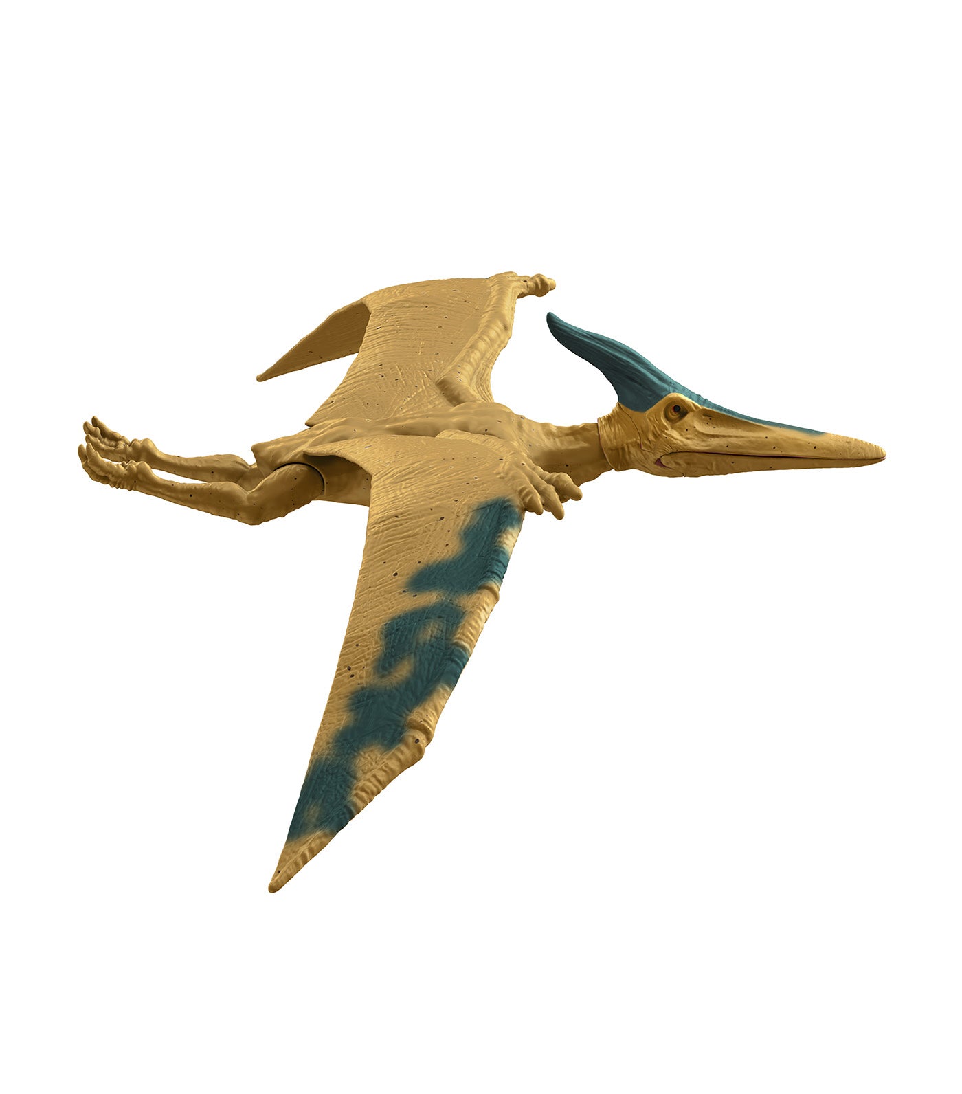 Procreatosaurus