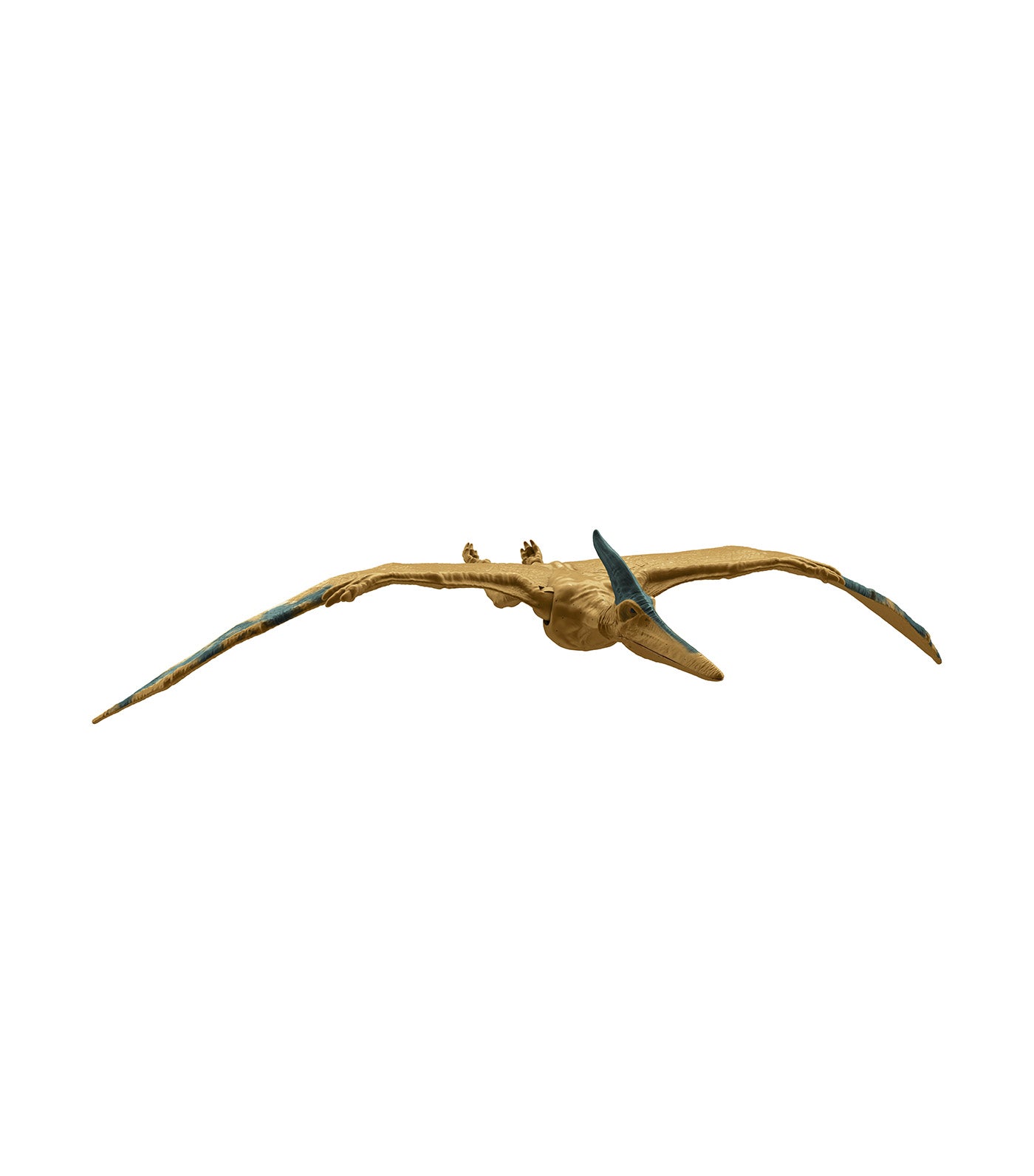 Procreatosaurus