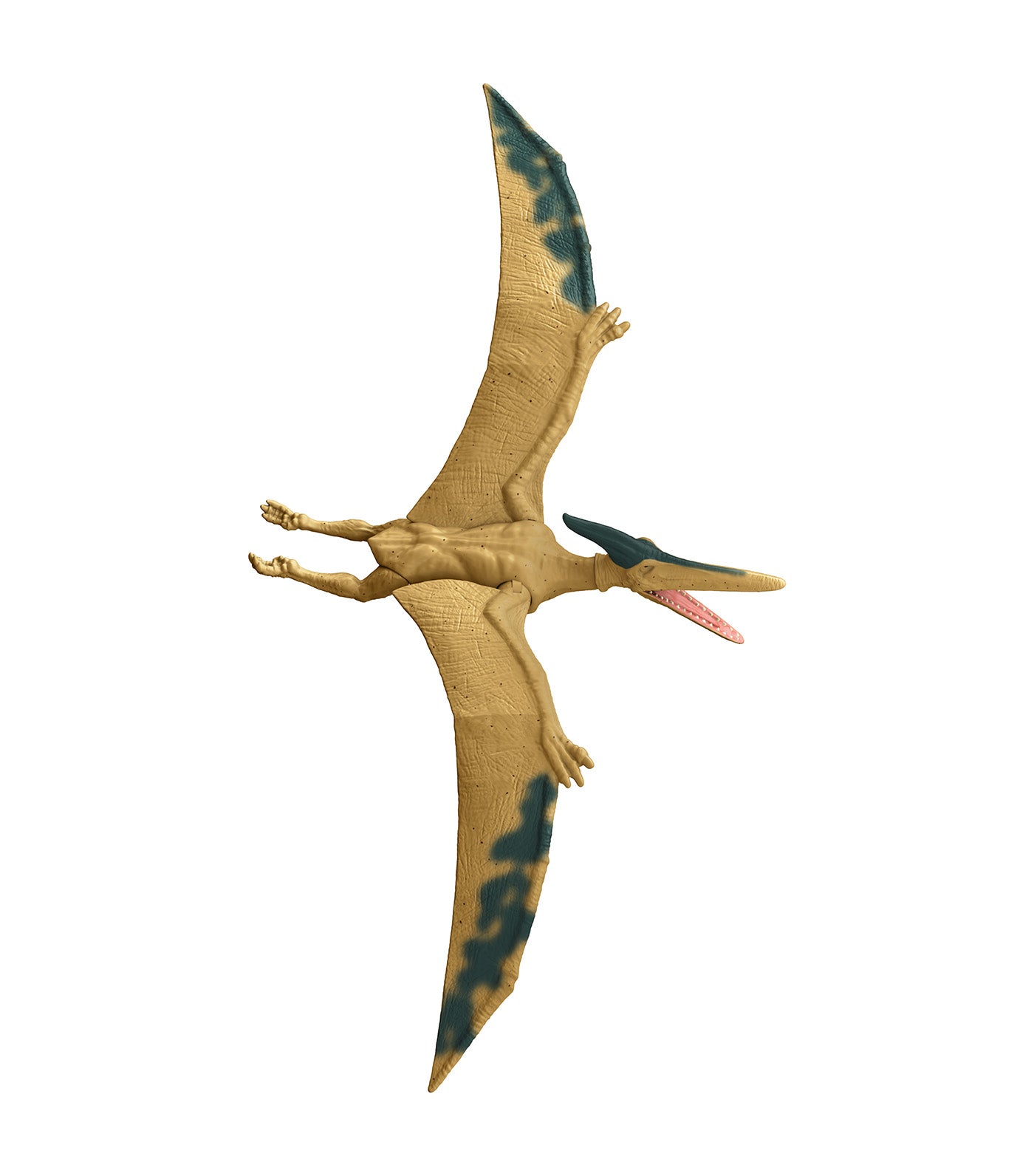 Procreatosaurus