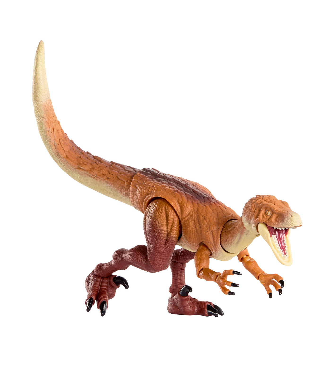 Hammond Collection Ornitholestes