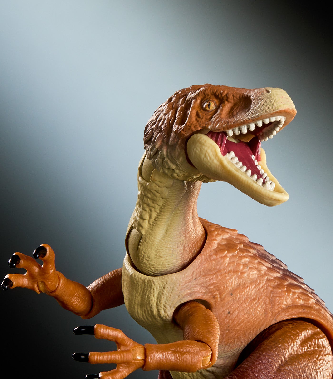 Hammond Collection Ornitholestes