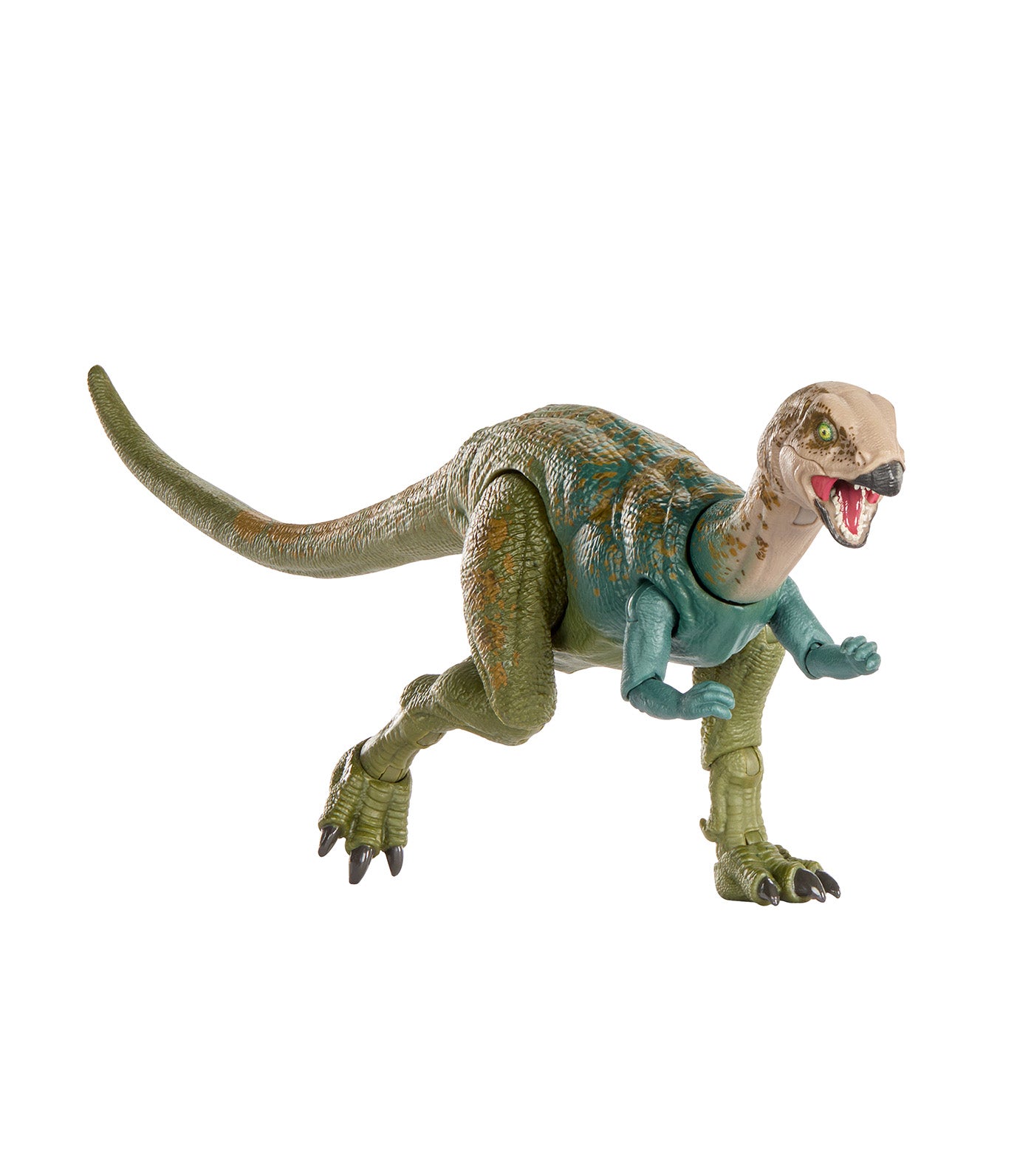 Hammond Collection Dryosaurus