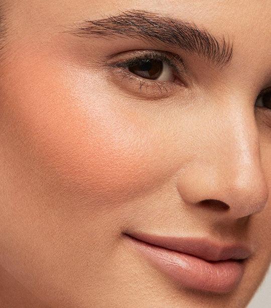 Blush & Bronze Hydro-Blur Cheek Duo