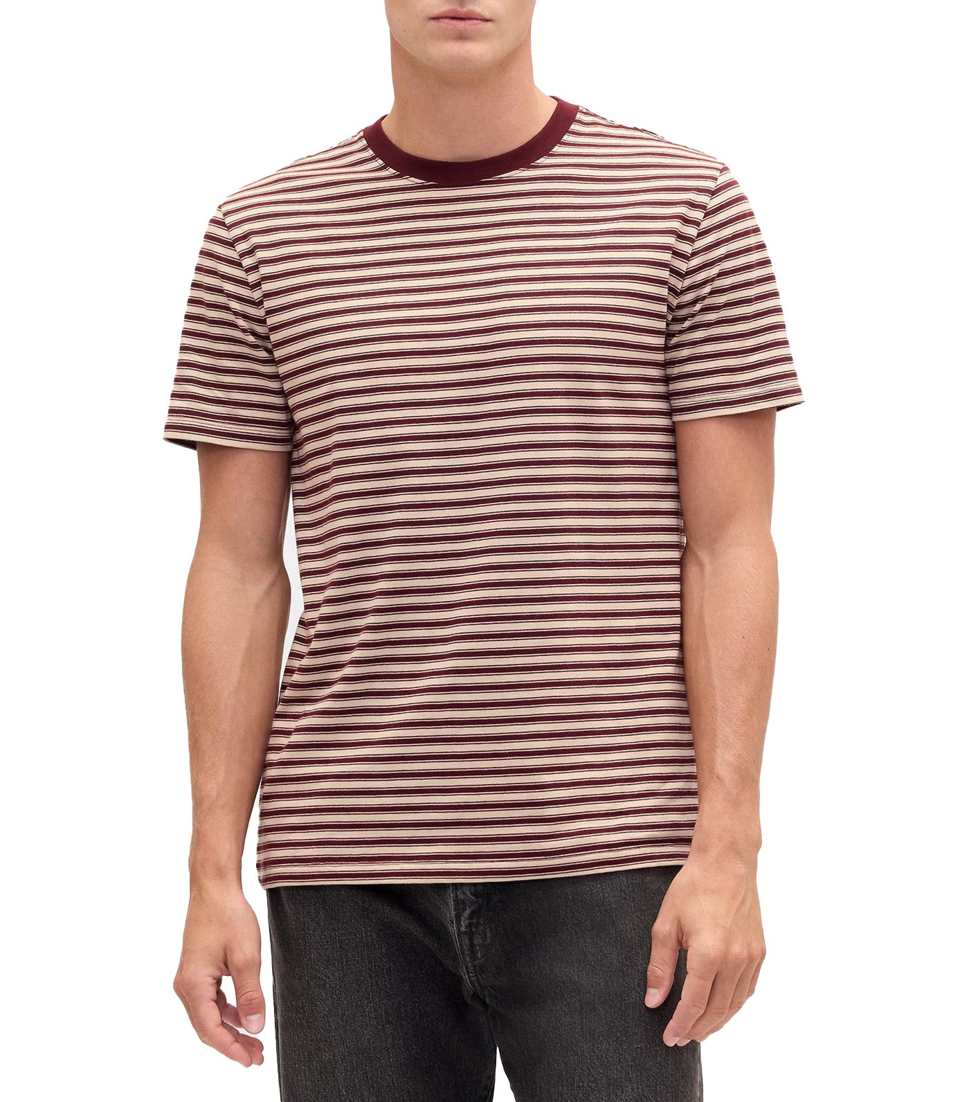 GAP Everyday Soft Stripe Crewneck T-Shirt Tuscan Red