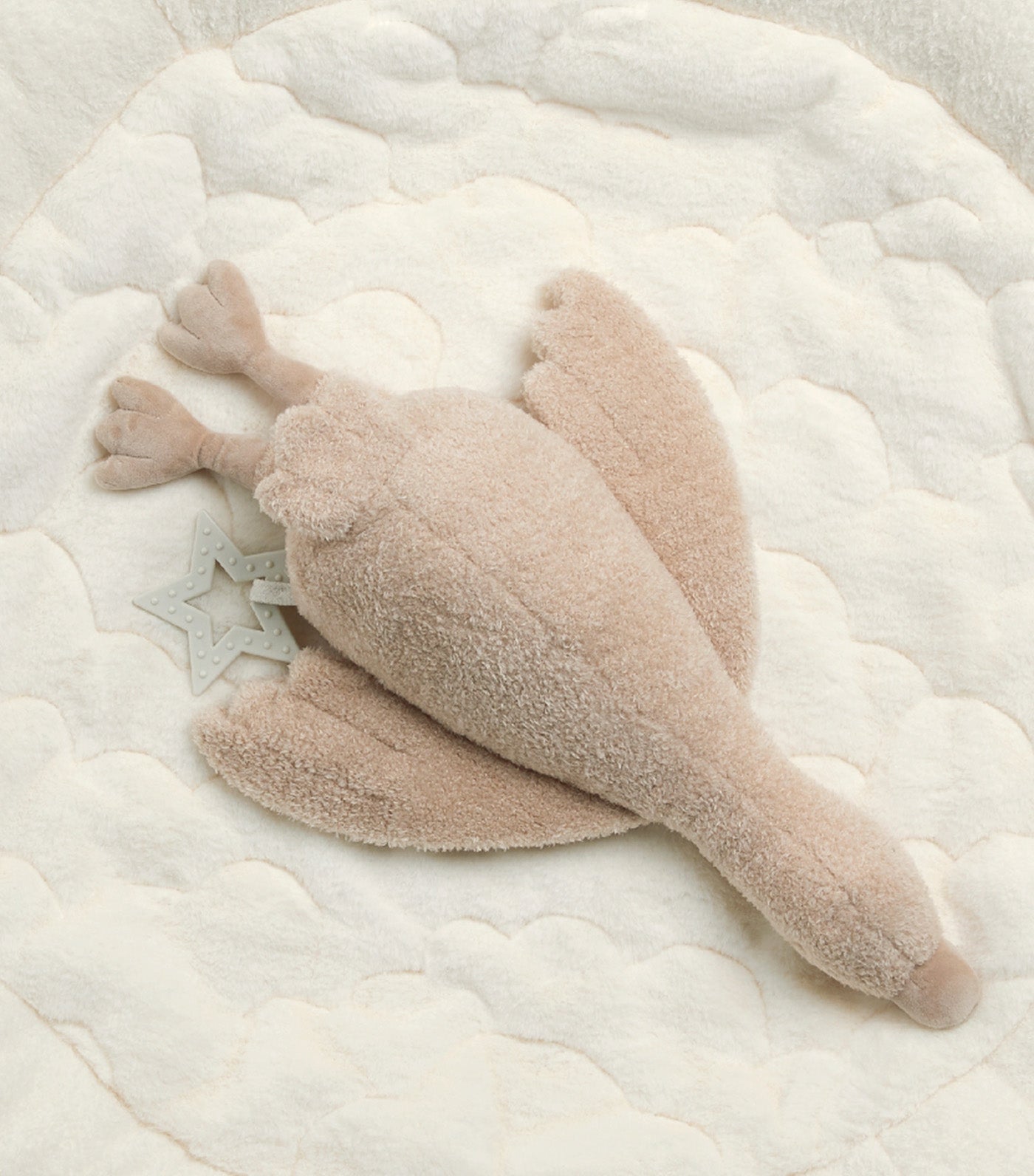Playmat and Gym - Welcome to the World Duckling