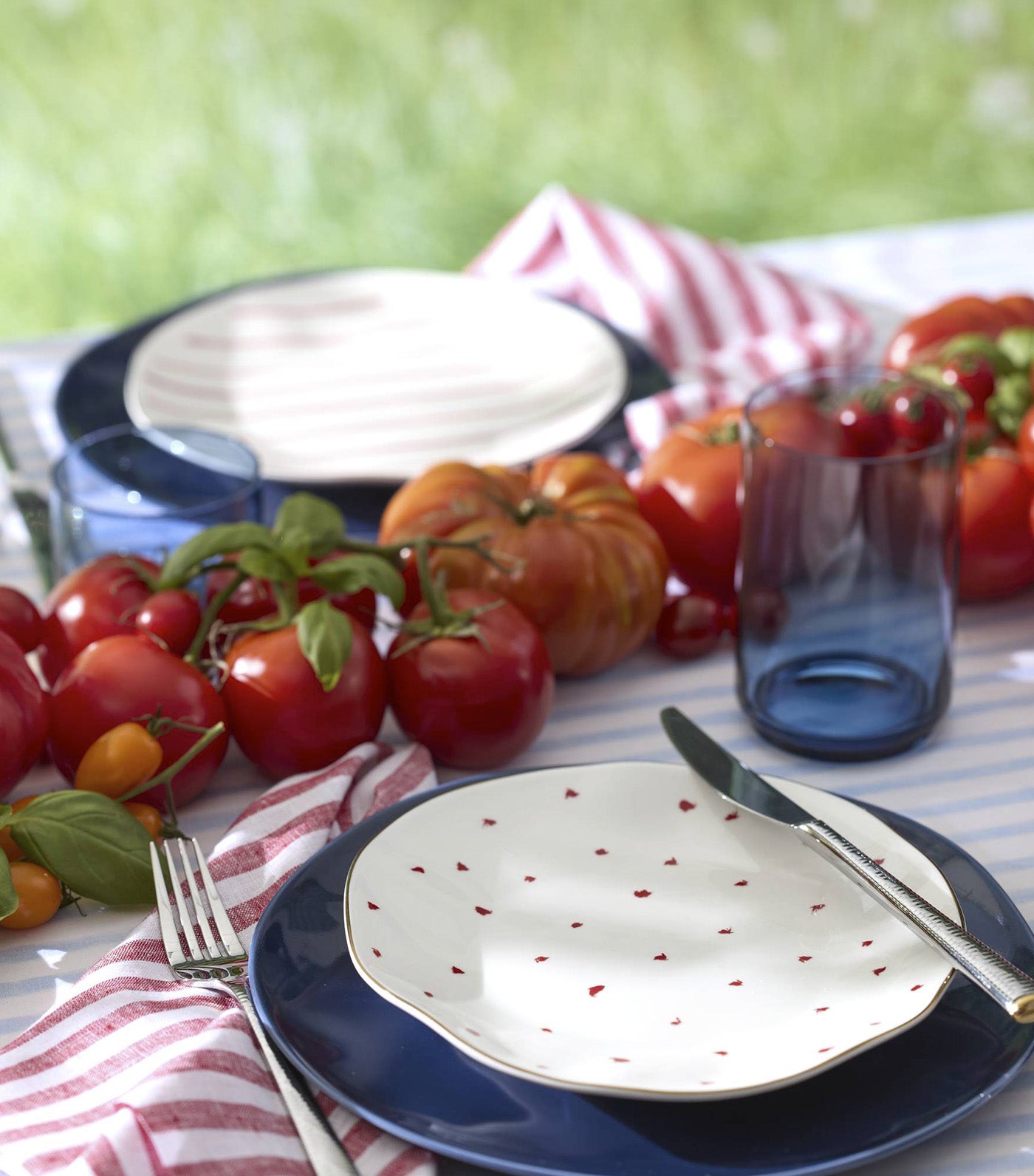 Garnet Bay Dinnerware Collection White and Red