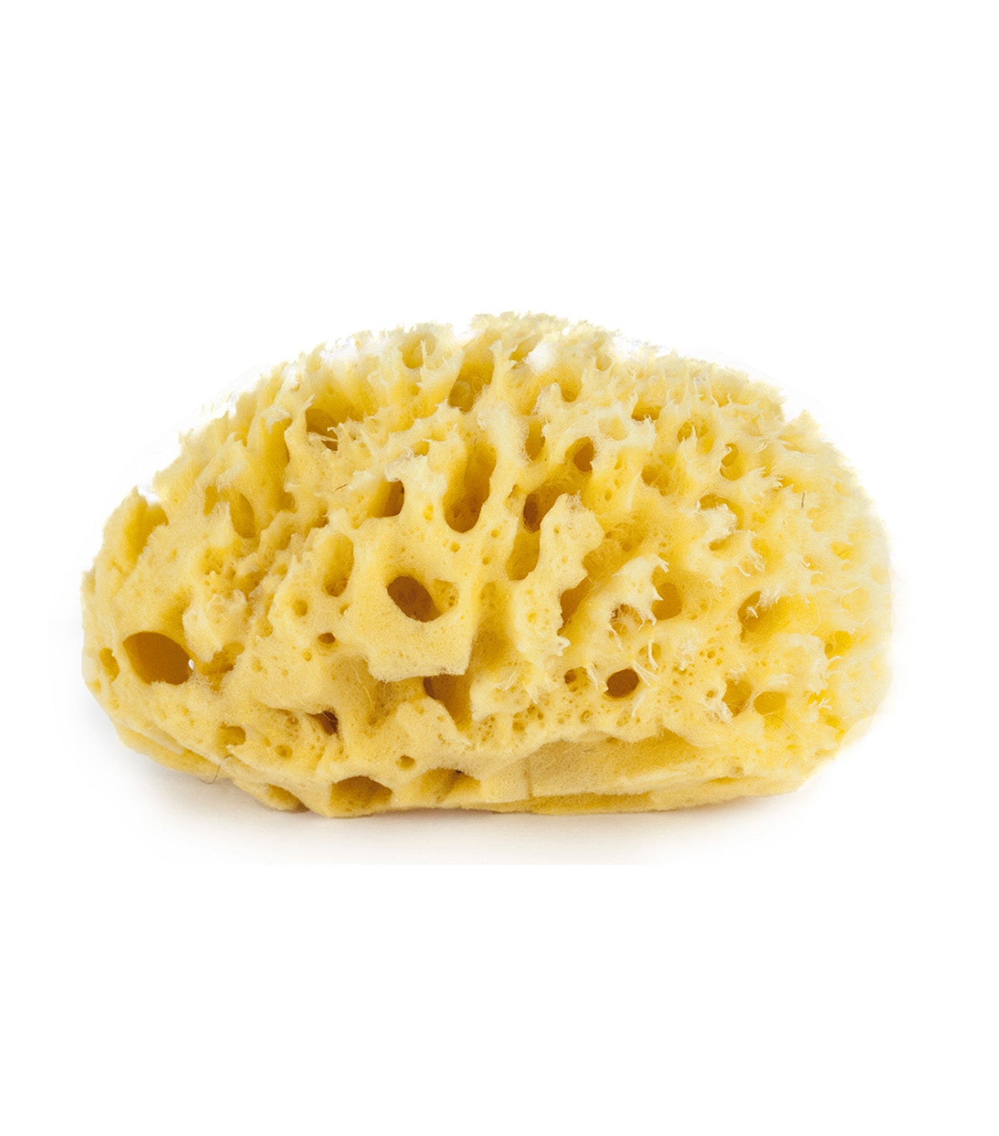 Honeycomb Yellow