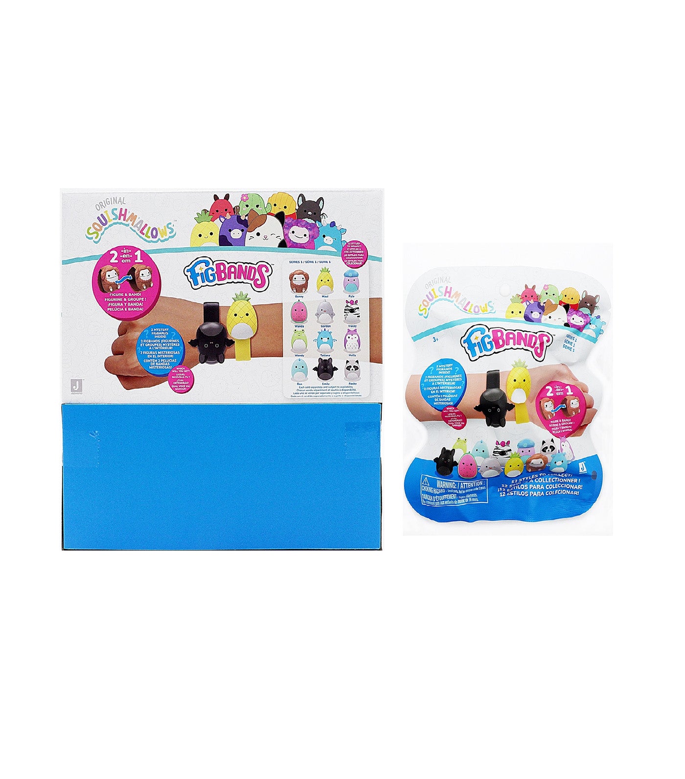 FigBands Mystery Bag