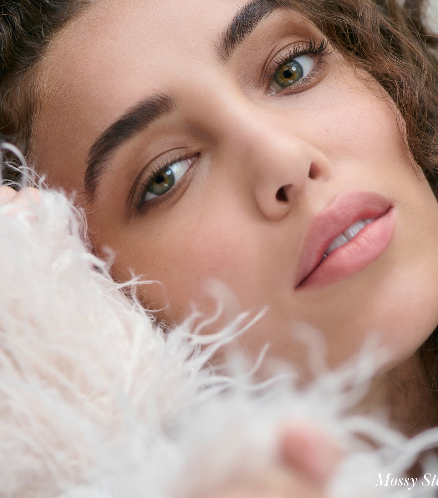 Cashmere Matte Eyelights