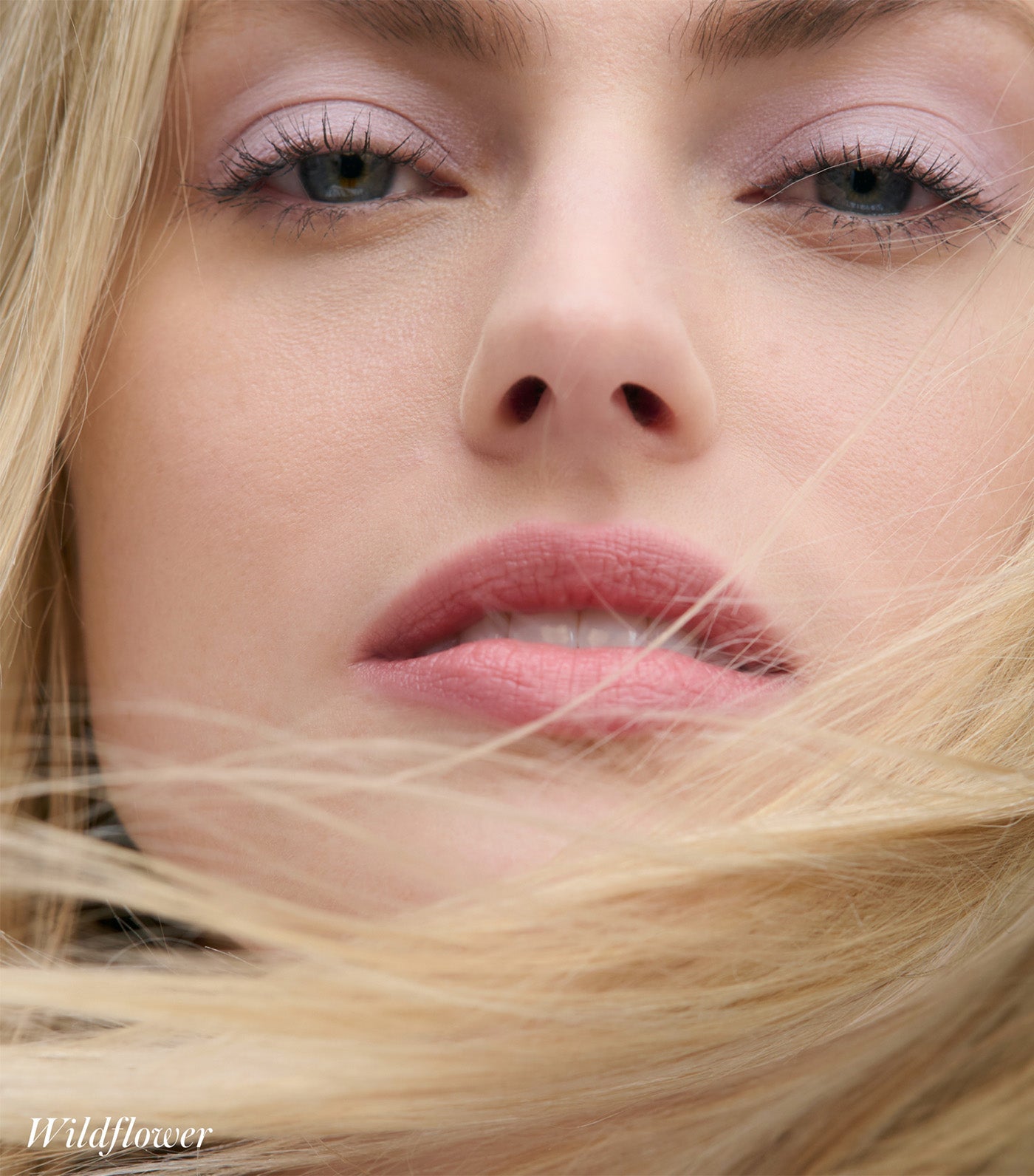 Cashmere Matte Eyelights