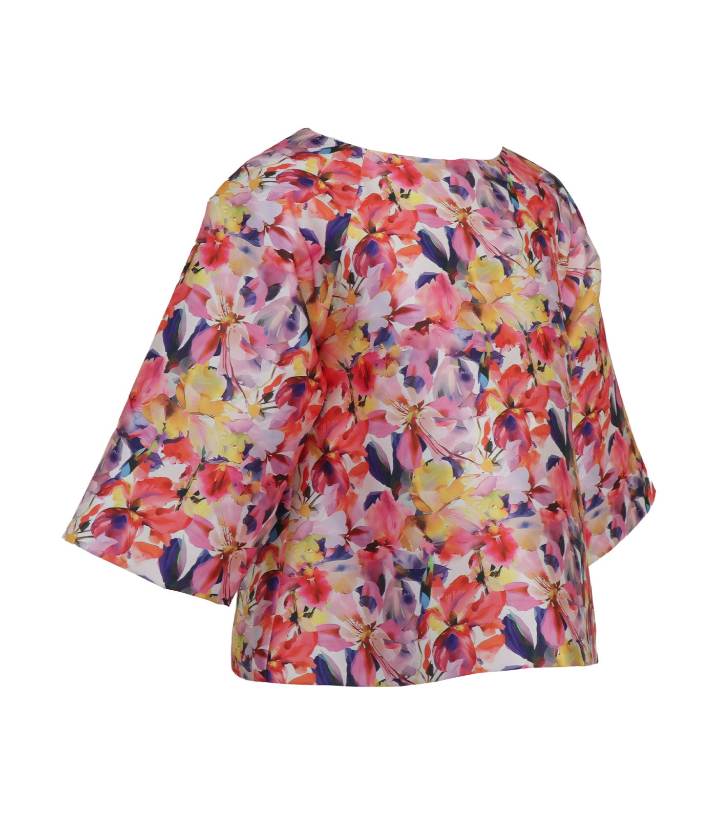 Ivy Raglan Blouse Printed Multi