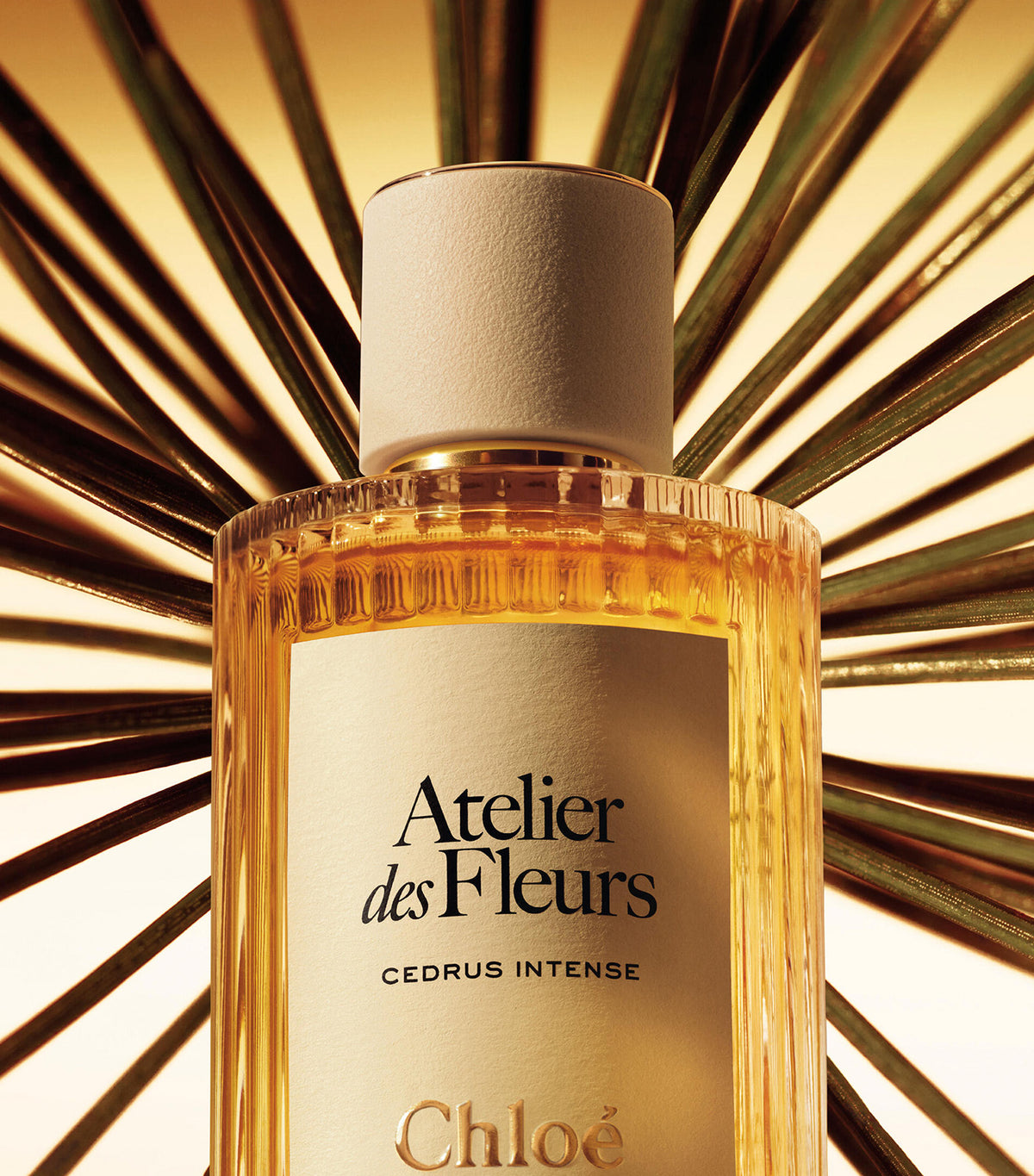 Atelier des Fleurs Cedrus Intense Eau de Parfum