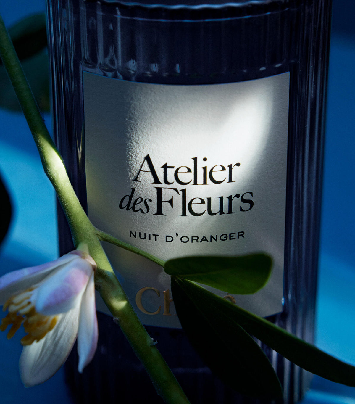Atelier des Fleurs Nuit d'Oranger Eau de Parfum