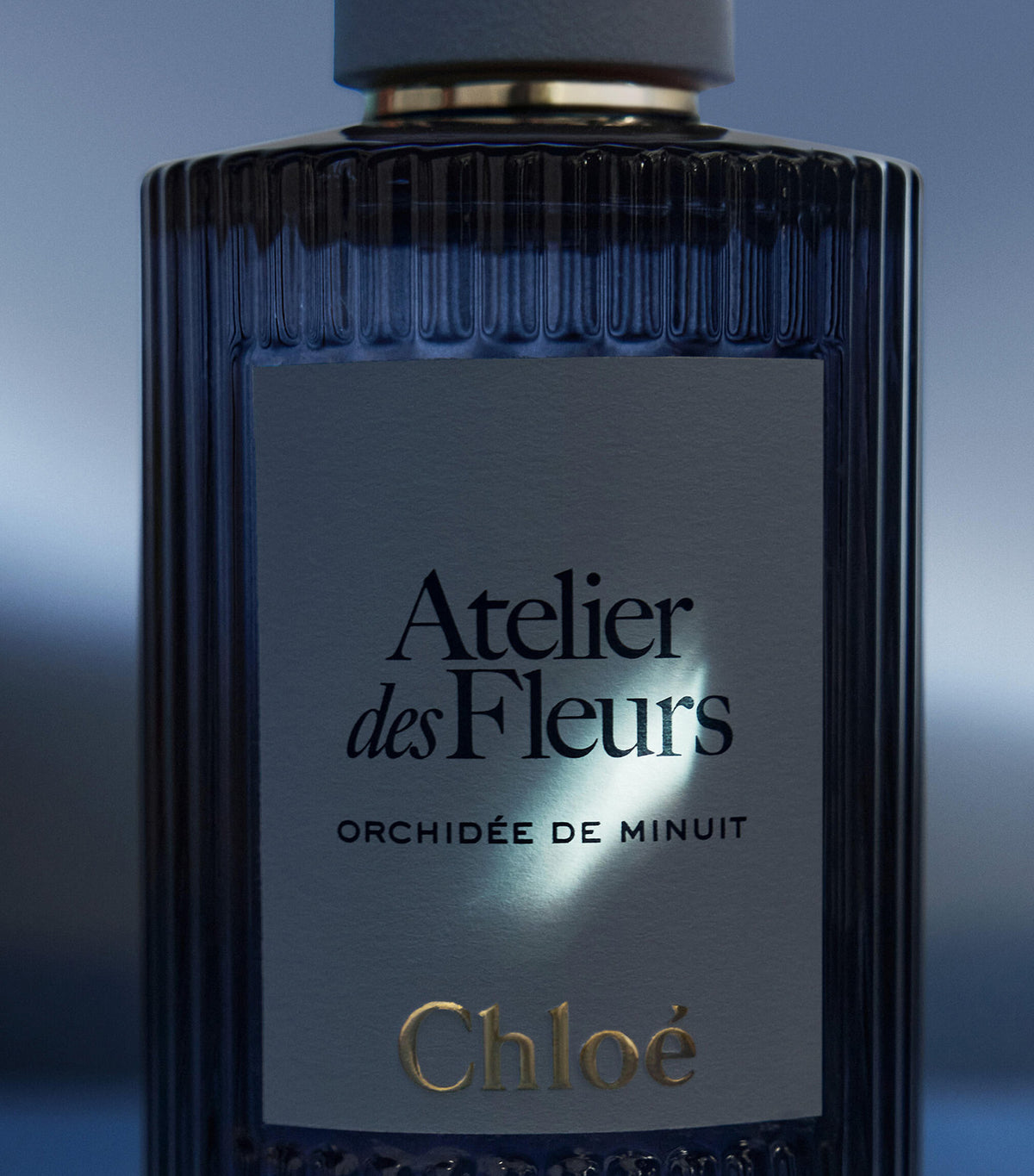 Atelier des Fleurs Orchidée de Minuit Eau de Parfum