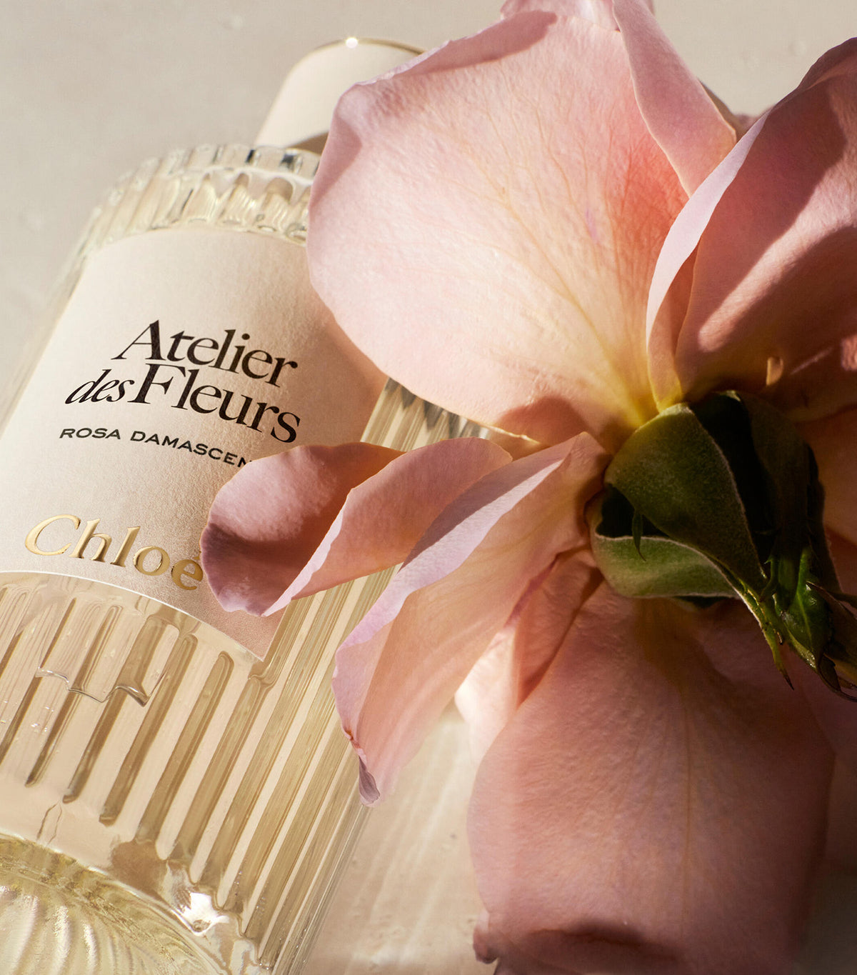 Atelier des Fleurs Rosa Damascena Eau de Parfum