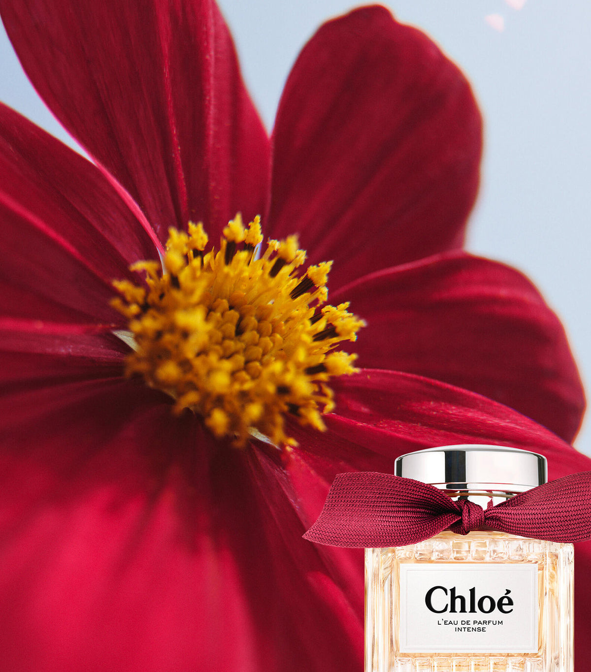 L'Eau de Parfum Intense