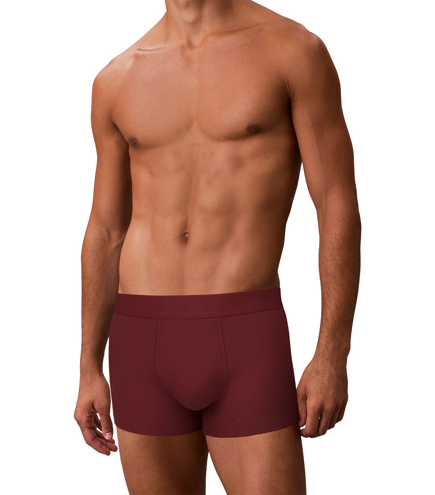 Micro Stretch Logo Low Rise Trunks Teenie Deluster Emblem/Fall Berry