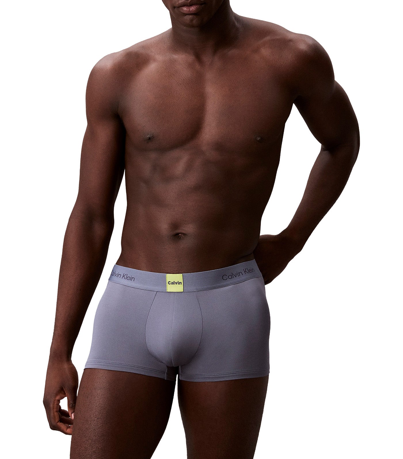 Calvin Klein Underwear Low Rise Trunk Metro Gray