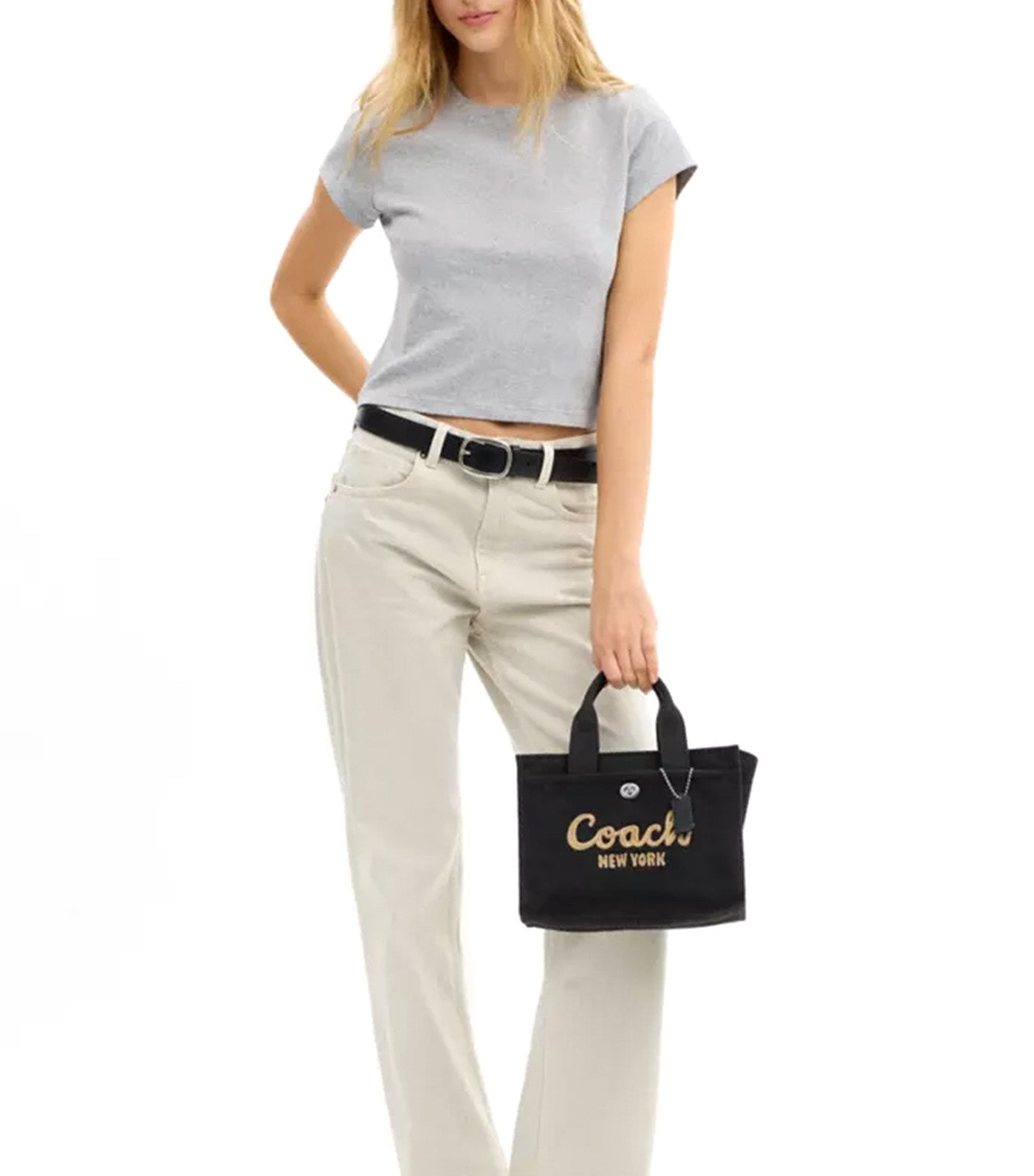 Cargo Tote Bag 26