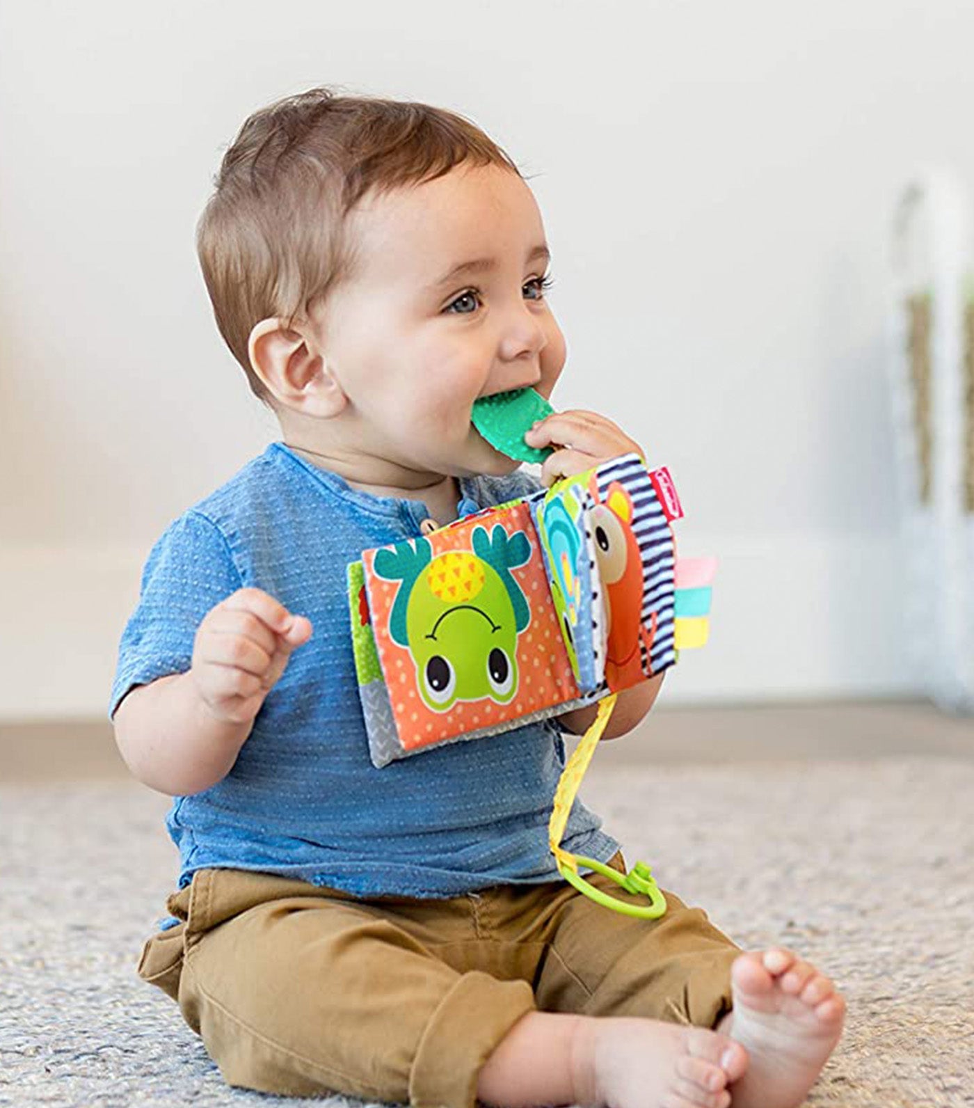 Link and Squeak Animal Book