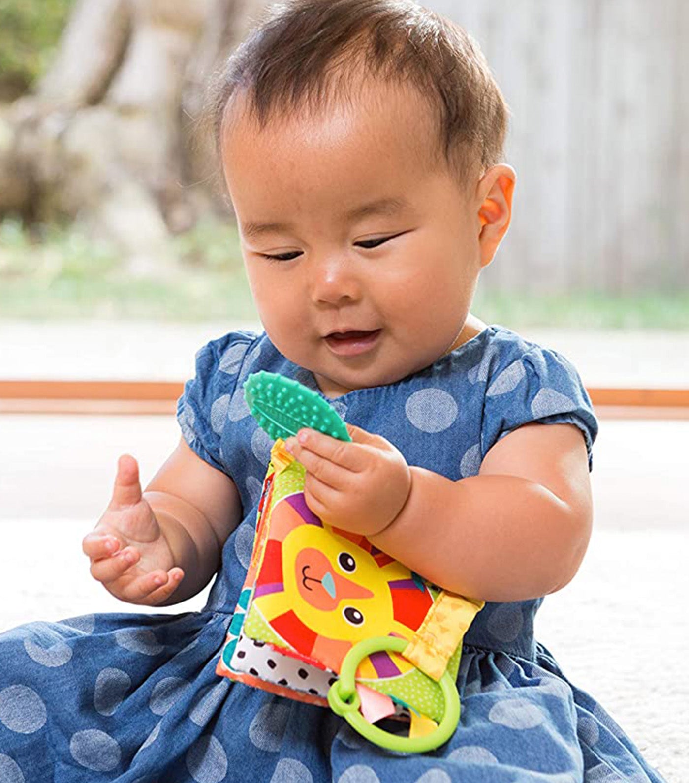 Link and Squeak Animal Book