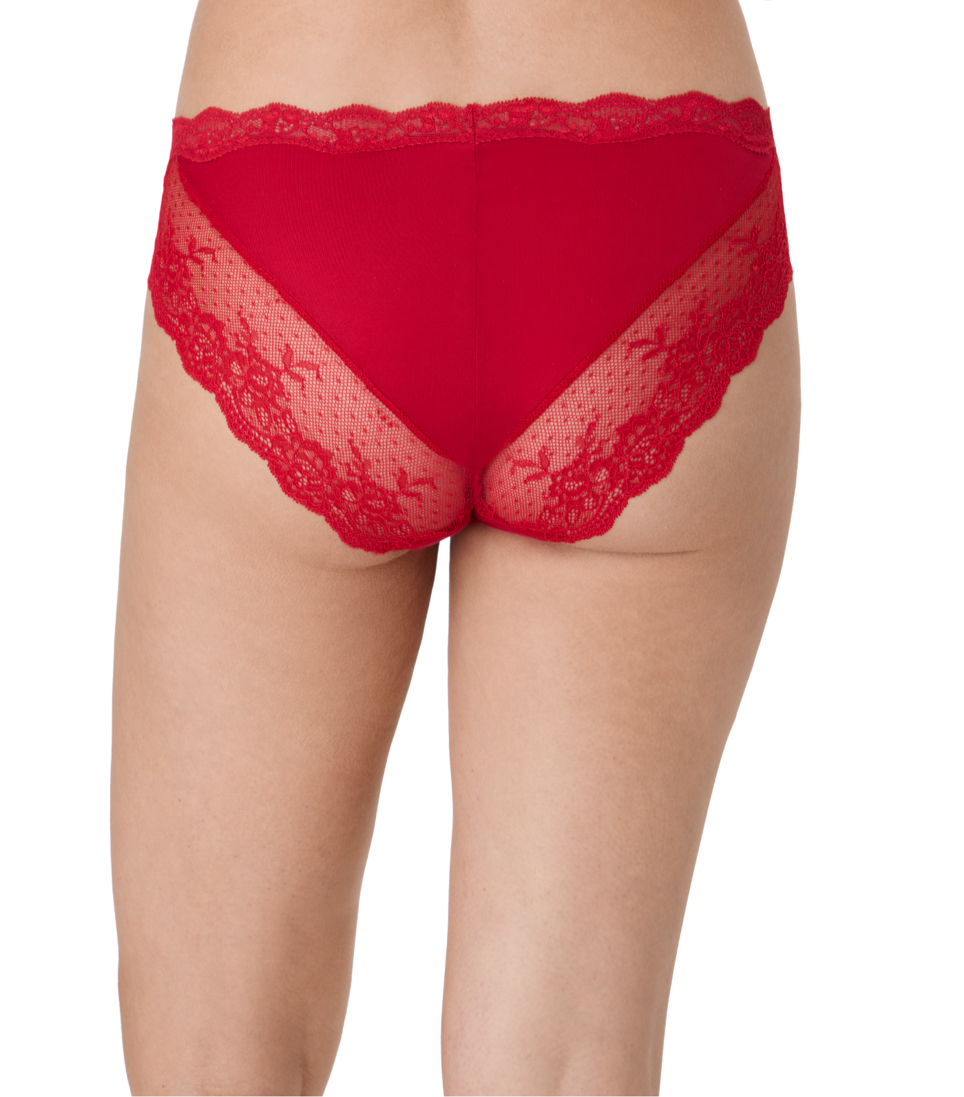 Everyday Pretty Lace Cheeky Bikini
