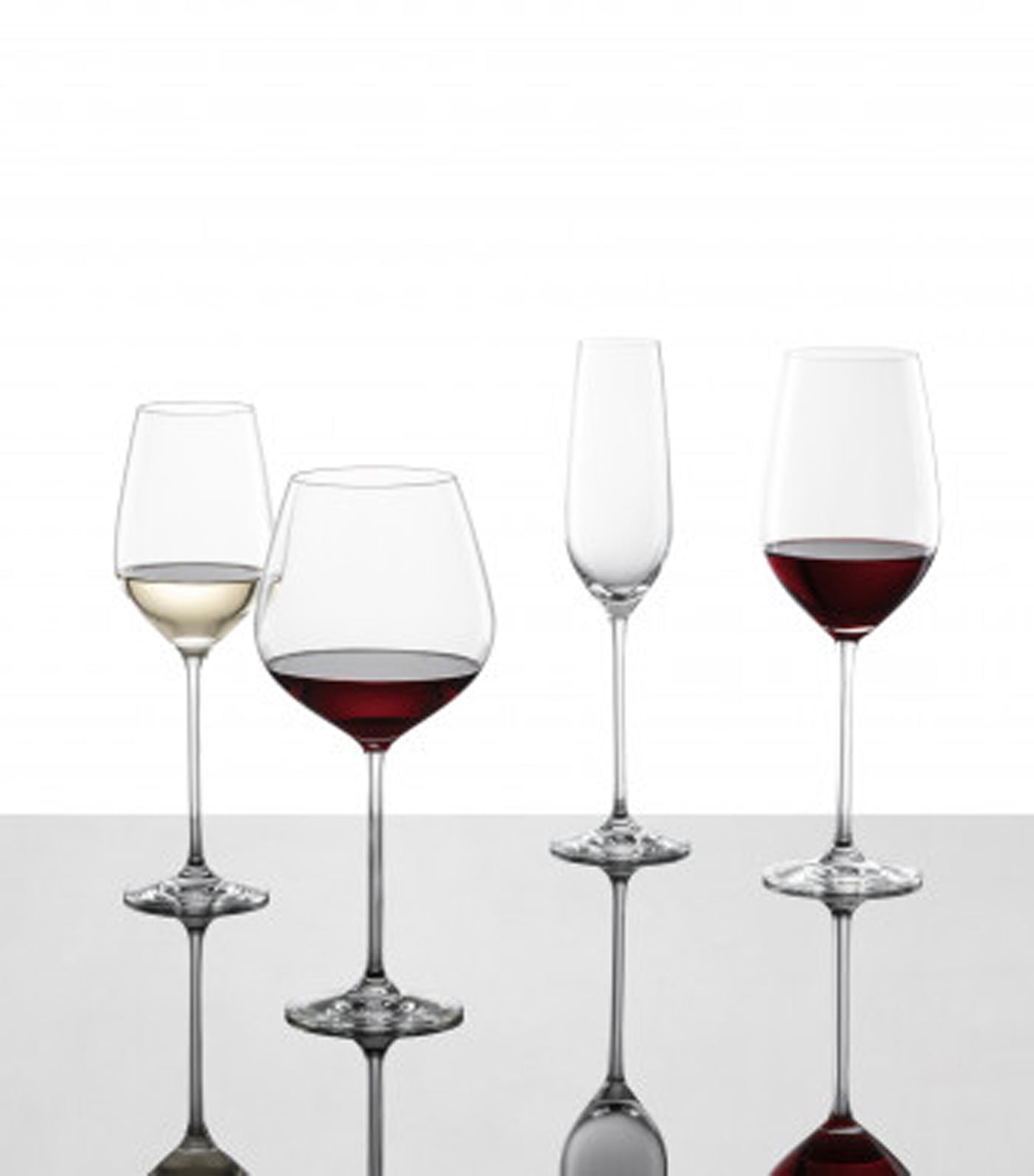 Schott Zwiesel Fortissimo Collection